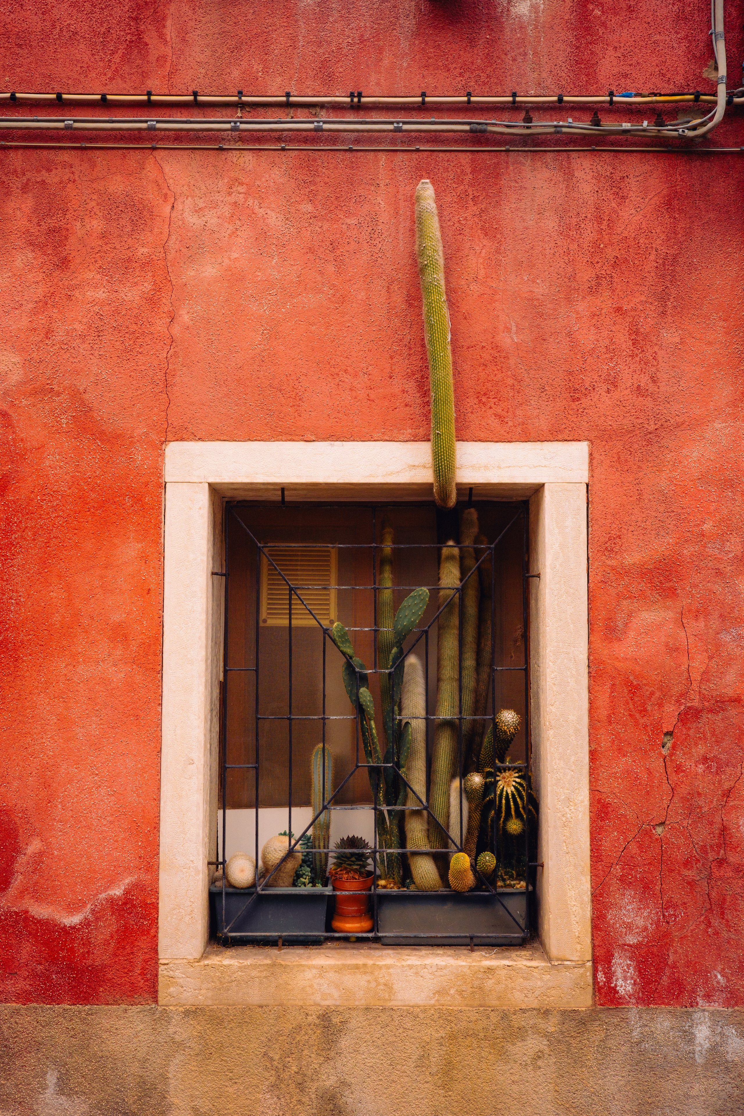 Street. Maria Sher. Professional photographer from Porto, Portugal