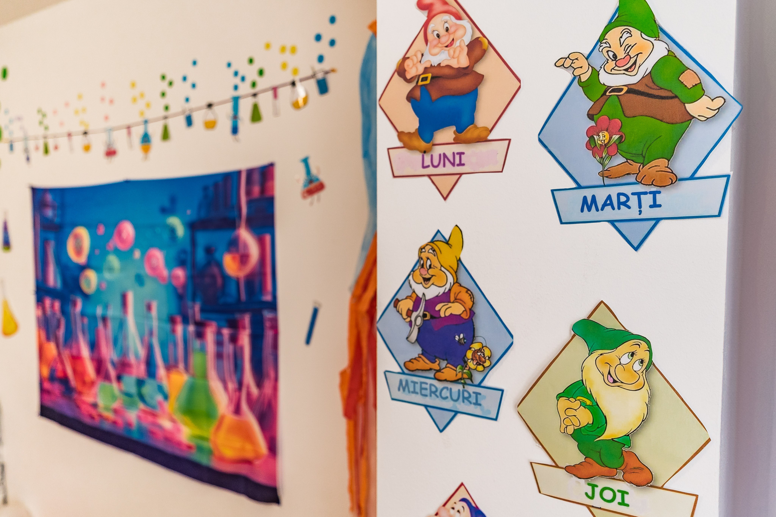 Miniterra Carusel. Liviu Andrei - Fotograf