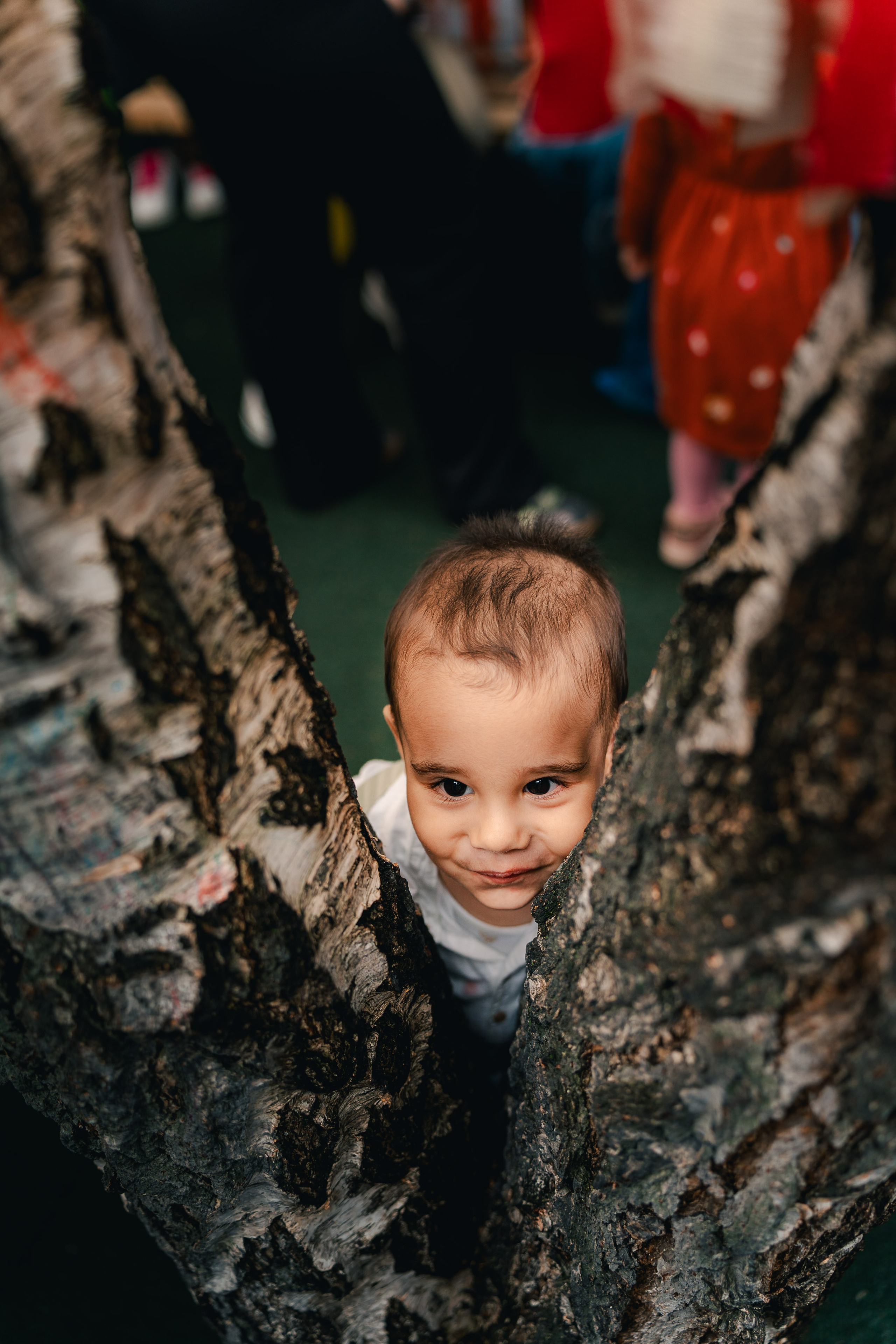 Miniterra Carusel. Liviu Andrei - Fotograf
