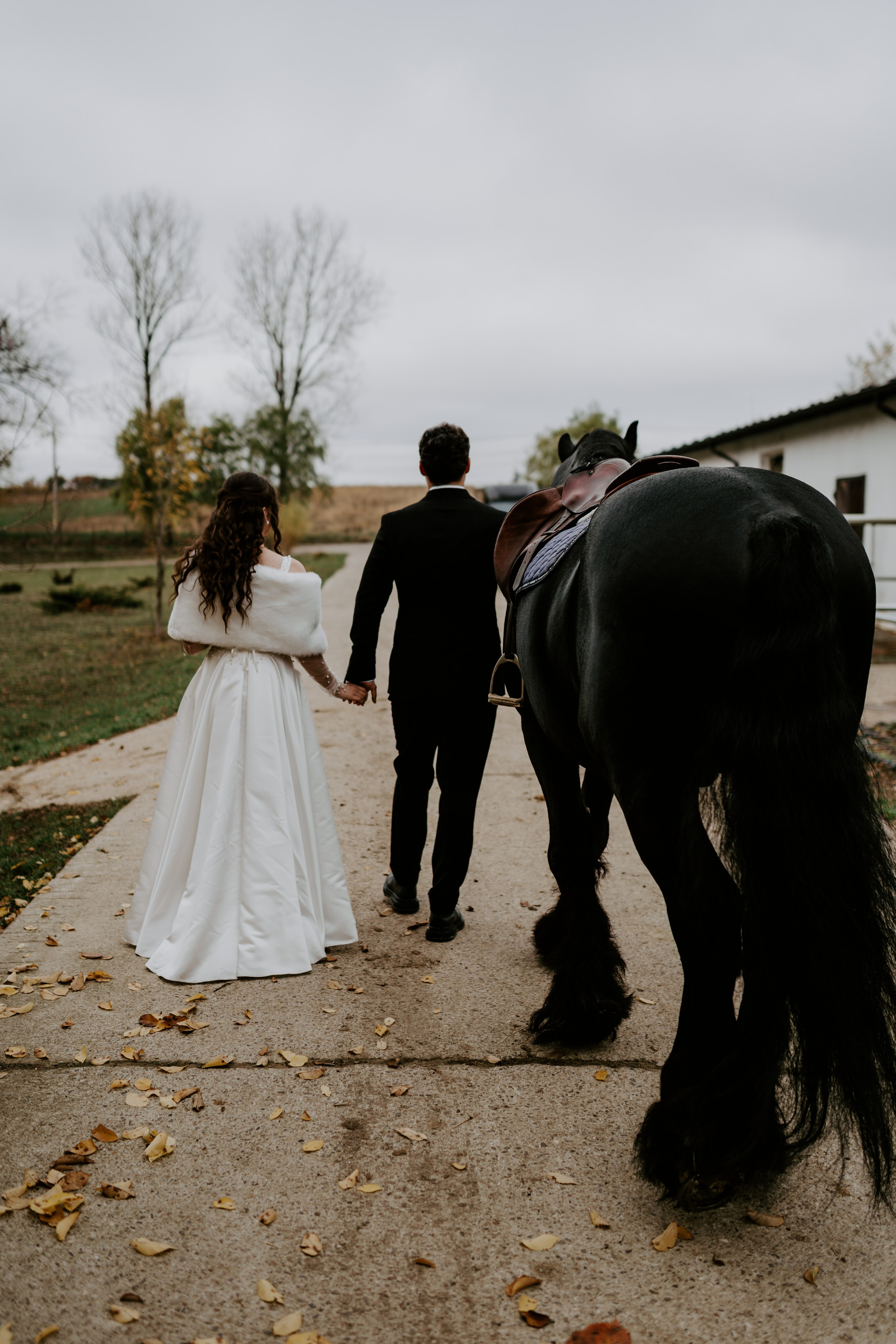 TTD — Ioana&Stefan. Catalin Brinza