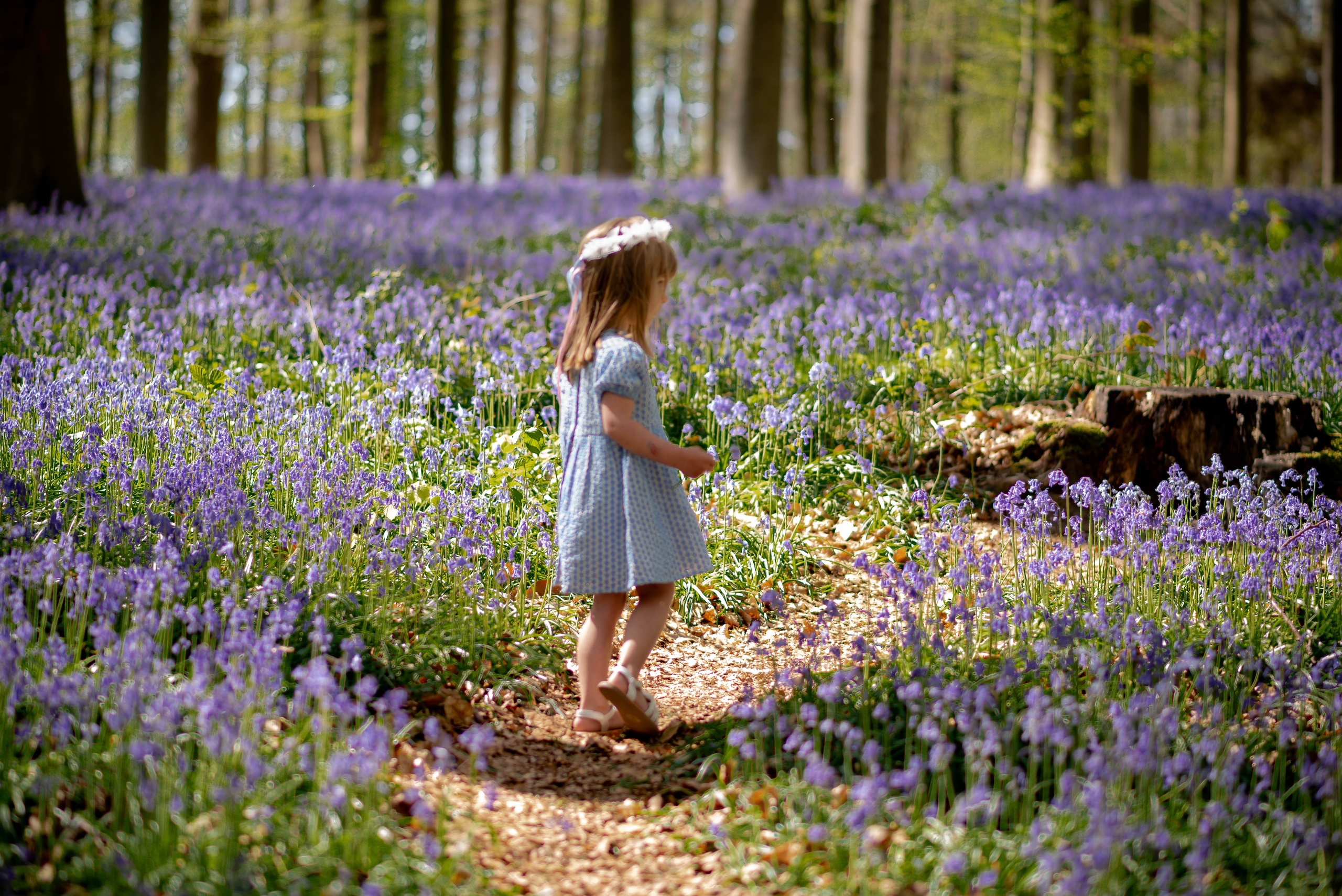 Children Photoshoot. Professional Photograher, Antwerpen/Belgium