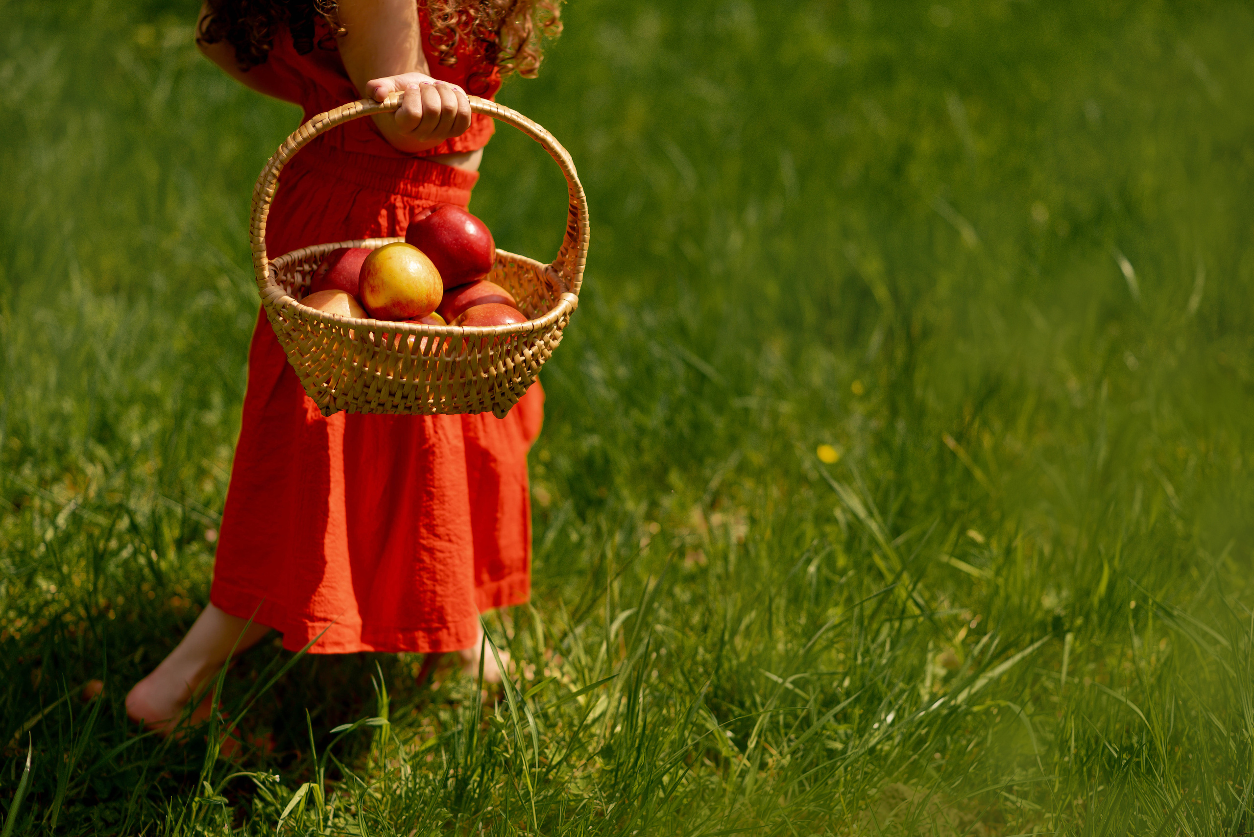 Children Photoshoot. Professional Photograher, Antwerpen/Belgium