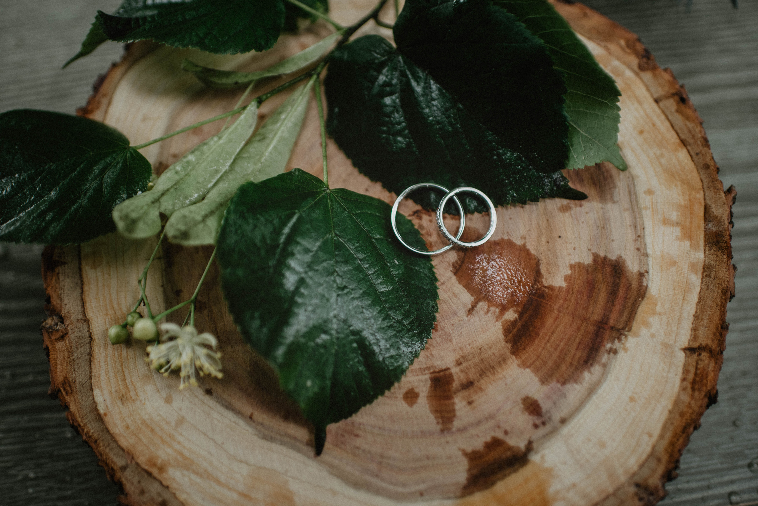 Svatba v Táboře v parku. Lifestyle, wedding and family photographer