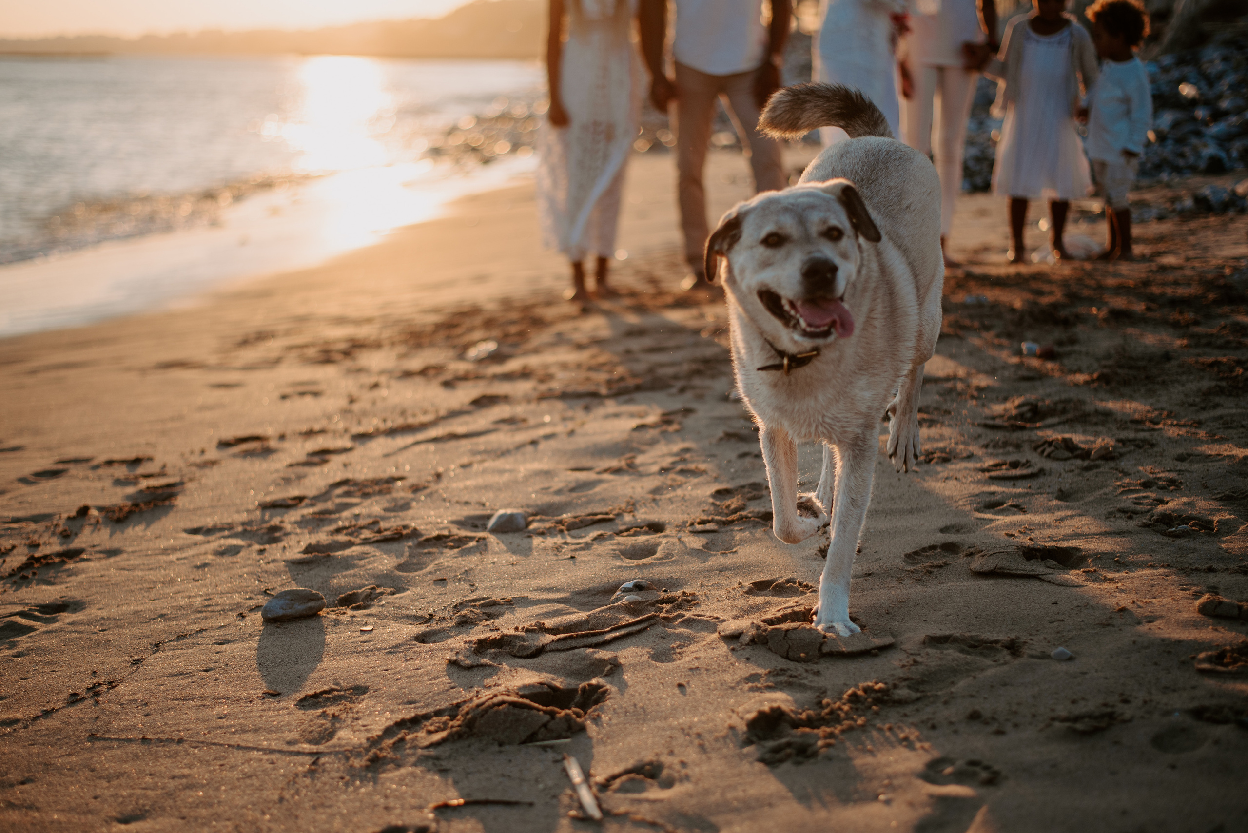 Family photographer based in Lisbon. Lifestyle, wedding and family photographer