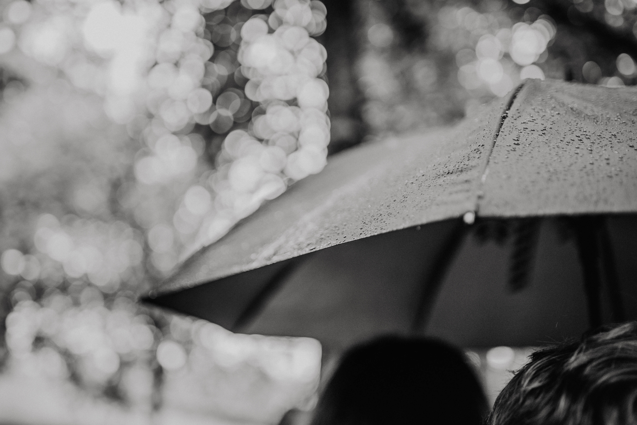 Svatba v Táboře v parku. Lifestyle, wedding and family photographer