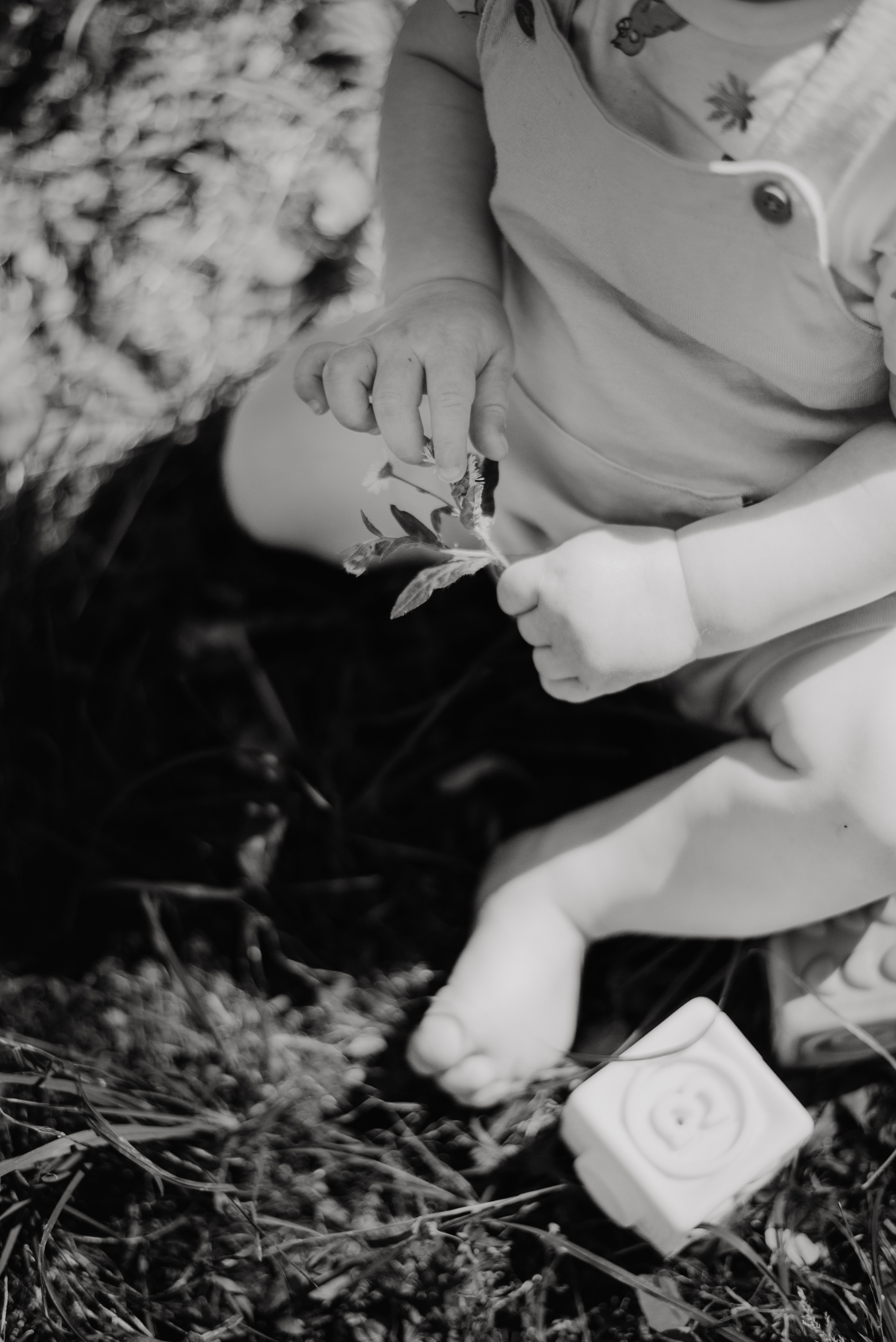 Terka, Tom, Betka. Lifestyle, wedding and family photographer