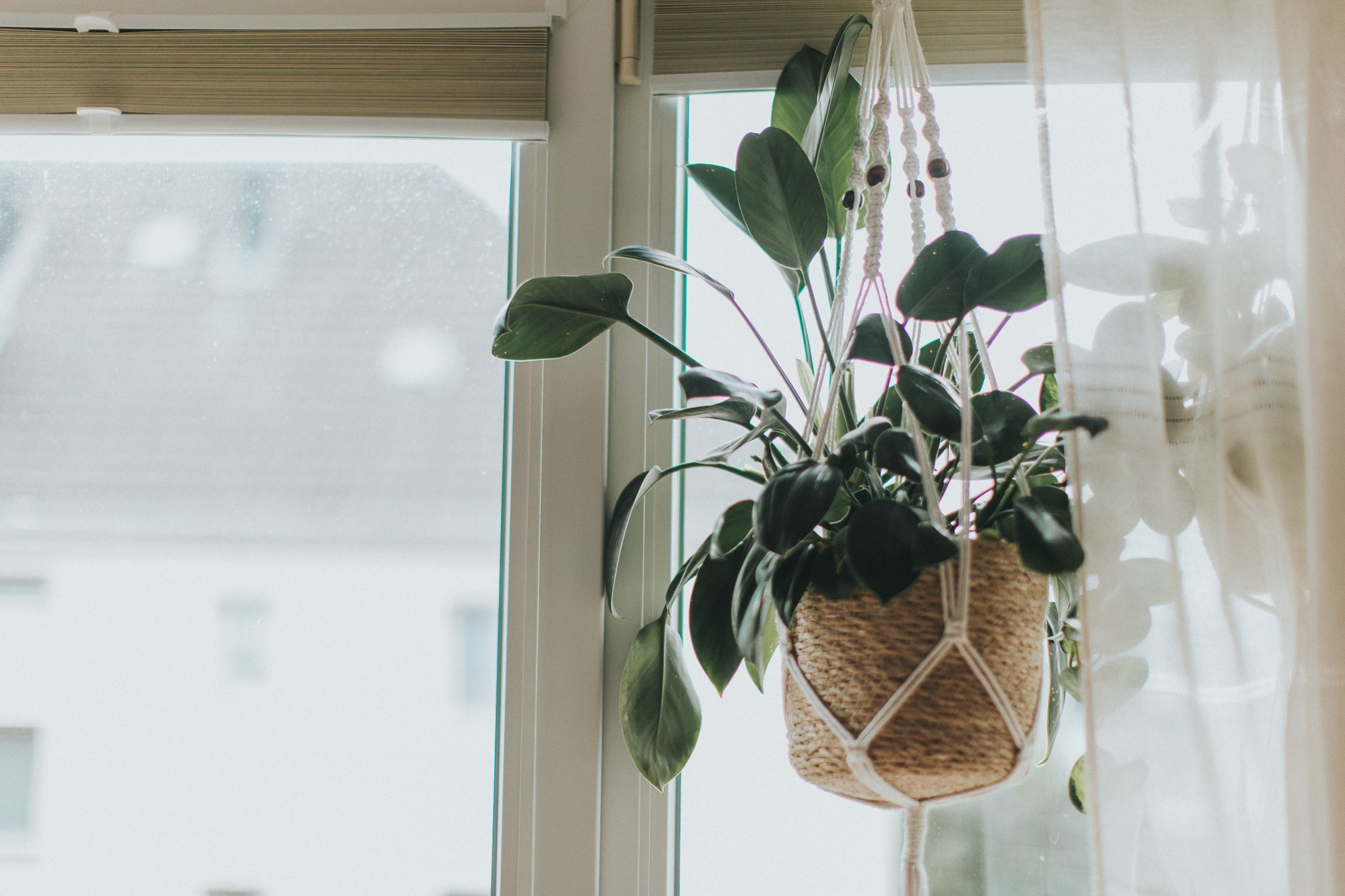 Pedro und Julia. Main