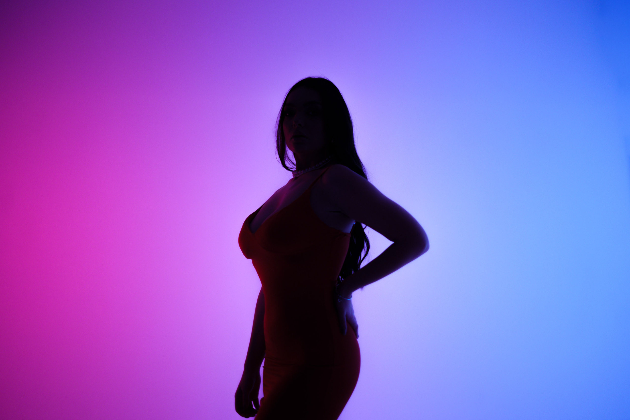 Silhouette. Zhukov studio