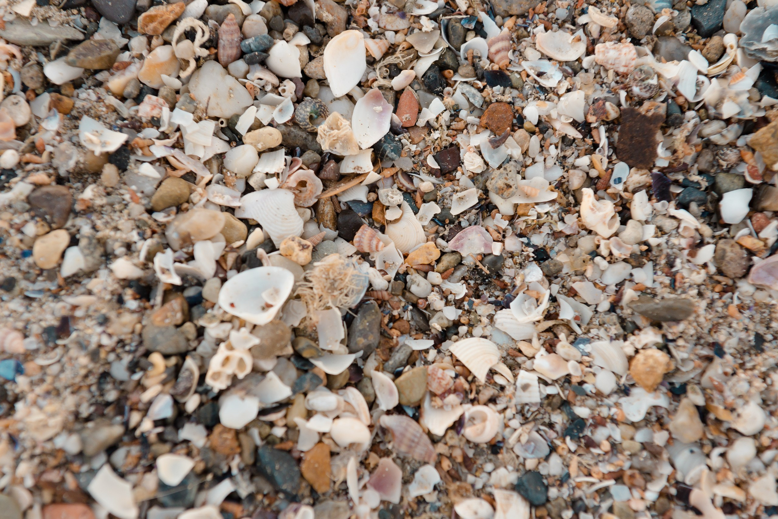 Luxury pregnancy photo shoot in Istanbul. MARIA VALUEVA Photographer in Nice, Cannes, Monaco, France, Europe, Istanbul, Turkey