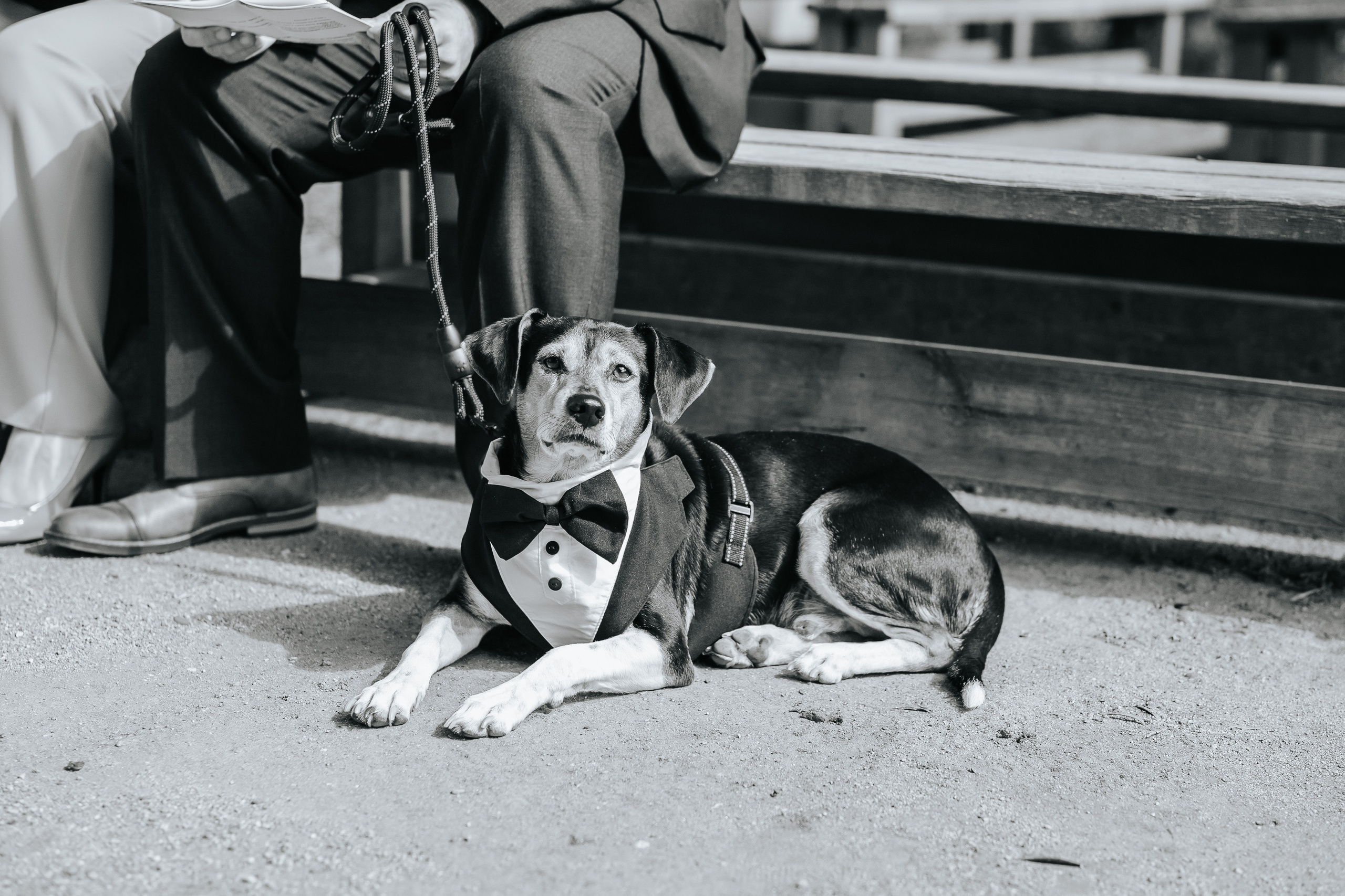 Marta+Adria, 27.09.2025, Can Caballe. Fotógrafa de bodas en Cataluña