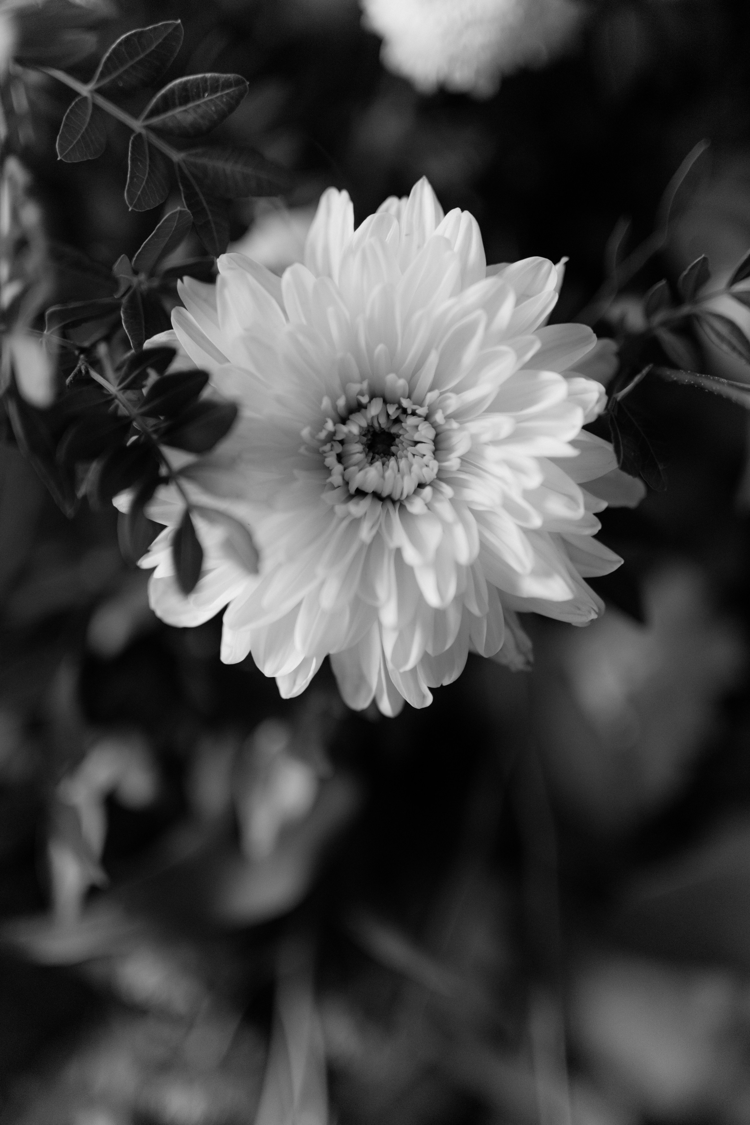 Ekateryna&David wedding in Tuscany. Wedding photographer Italy