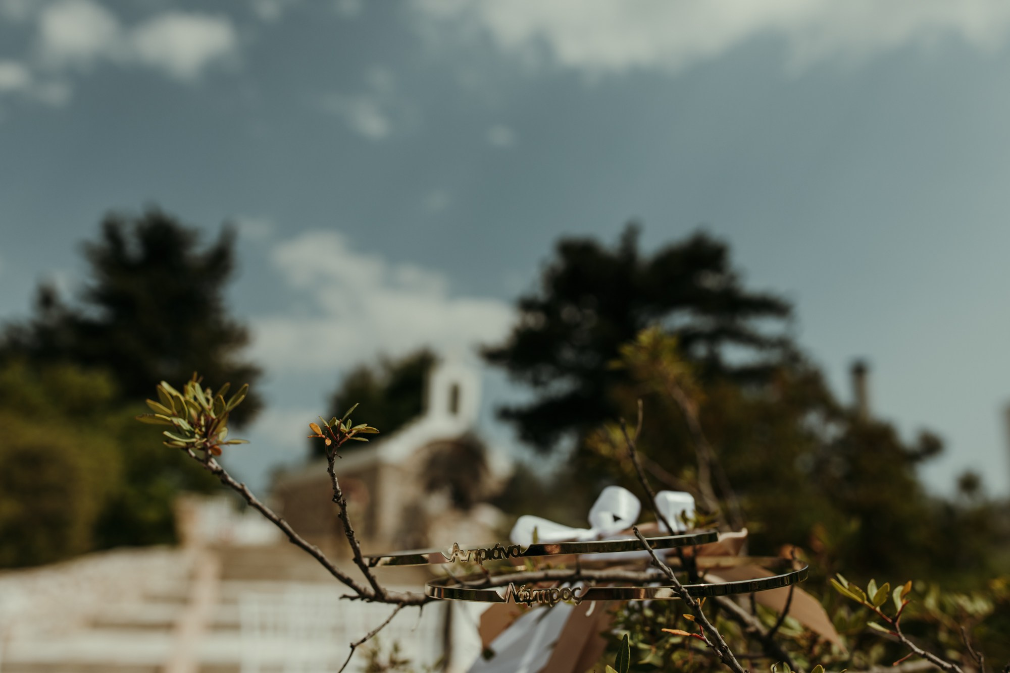 Lambros-Adriana. Fotograf și videograf de nuntă R. Moldova, Romania