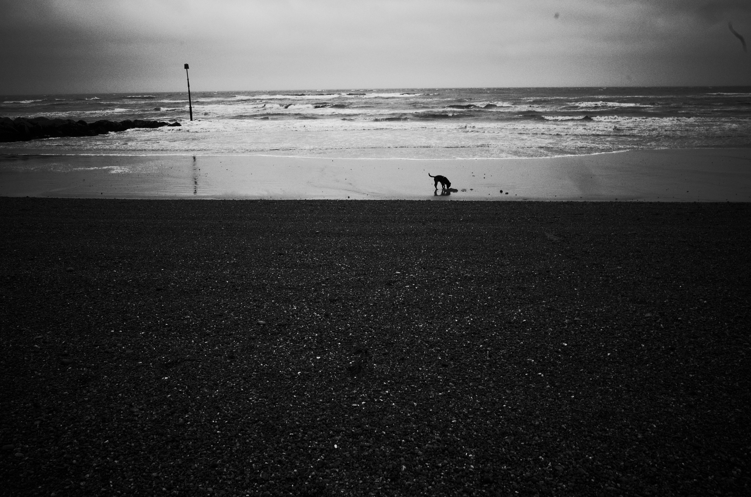 Dance at the new moon. Victoria Dini. Art photography in London / Folkestone, UK