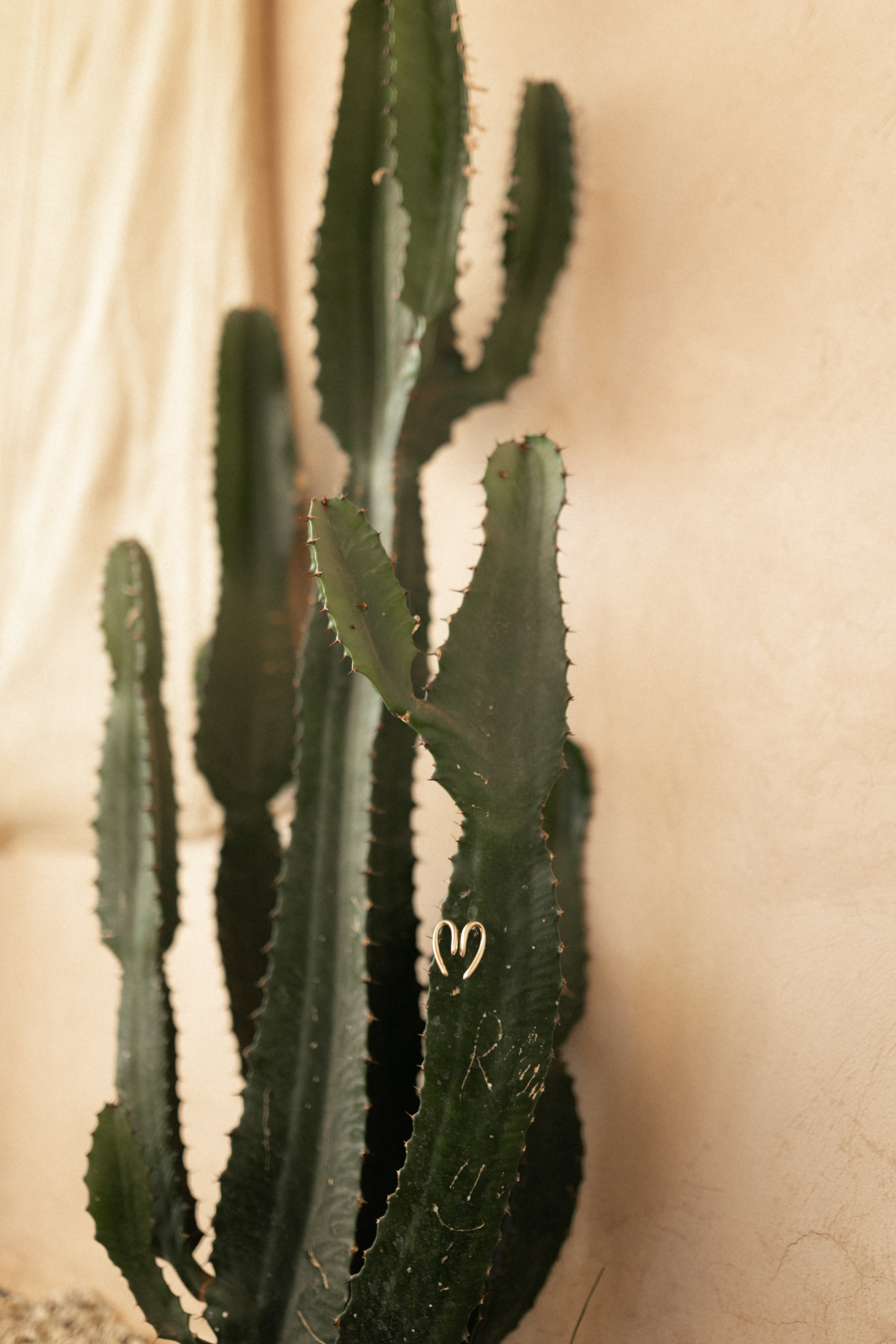 Morrocan dream. Patricia Morenci — Mountain Adventures for the Wild at Heart