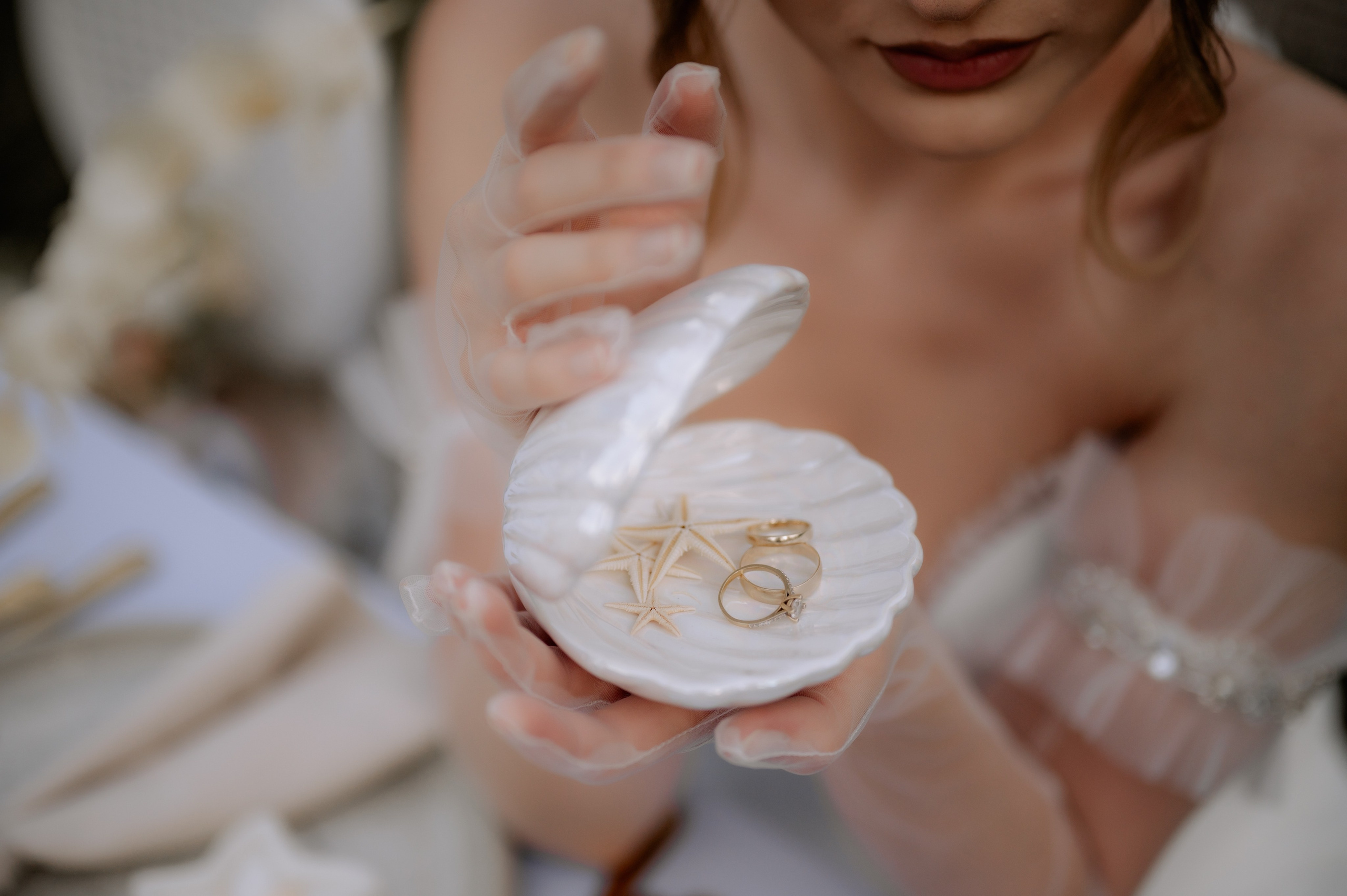 Servicii foto video profesionale de nunta, la cel mai bun pret. Proud Vision Weddings | Wedding Photography & Film — Servicii profesionale Foto Video Nunta Iasi