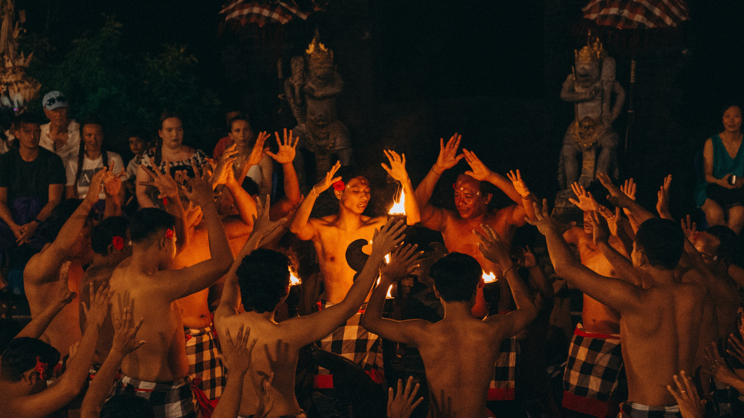 Roaming. Mike Avelli