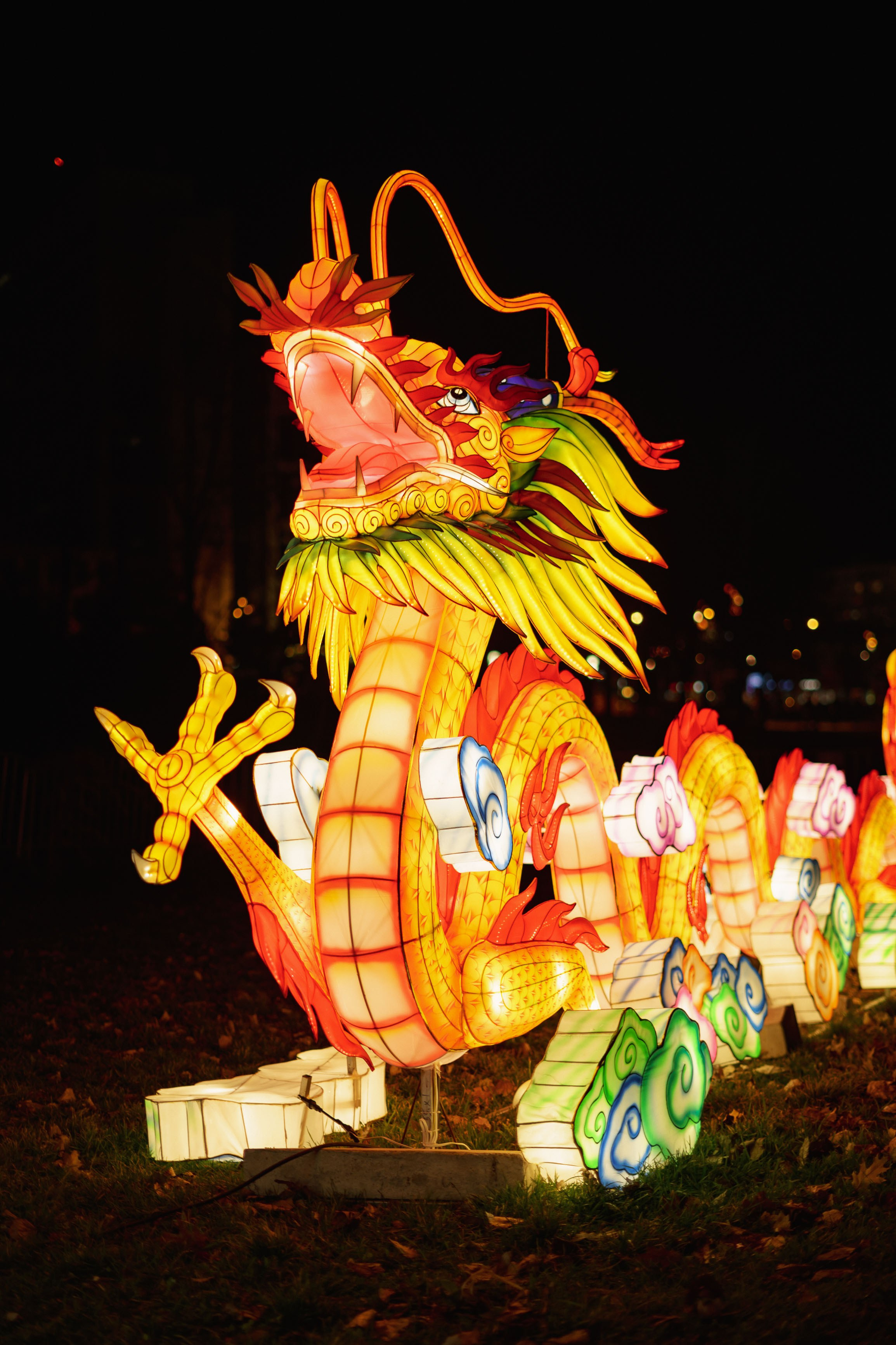 Svecano otvaranje Kineskog festivala svetla u Novom Sadu. Жуков Студио