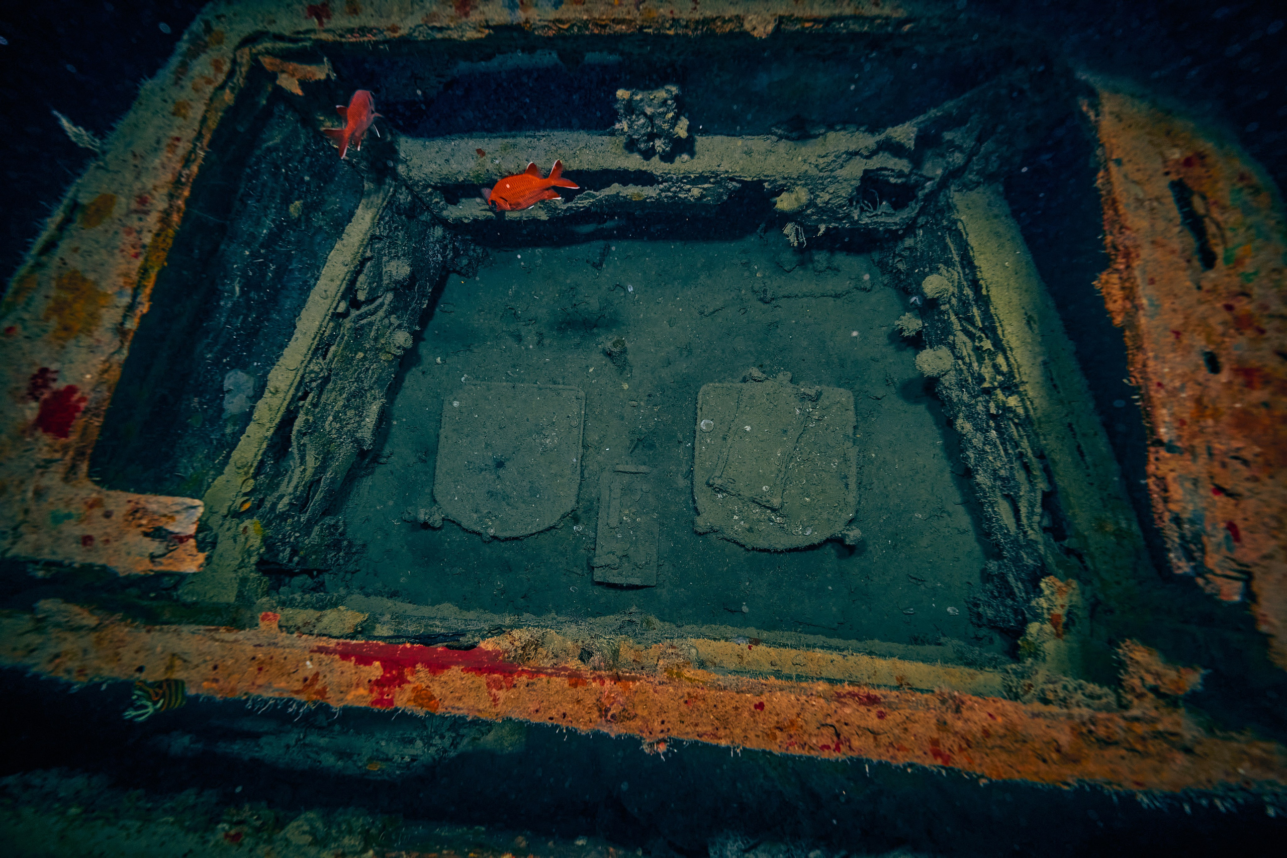 Fotograf podwodny Andriej Szypiłow - zdjęcia tajemniczego SS Thistlegorm. Underwater photographer Andriej Szypilow - photos of the mysterious SS Thistlegorm.