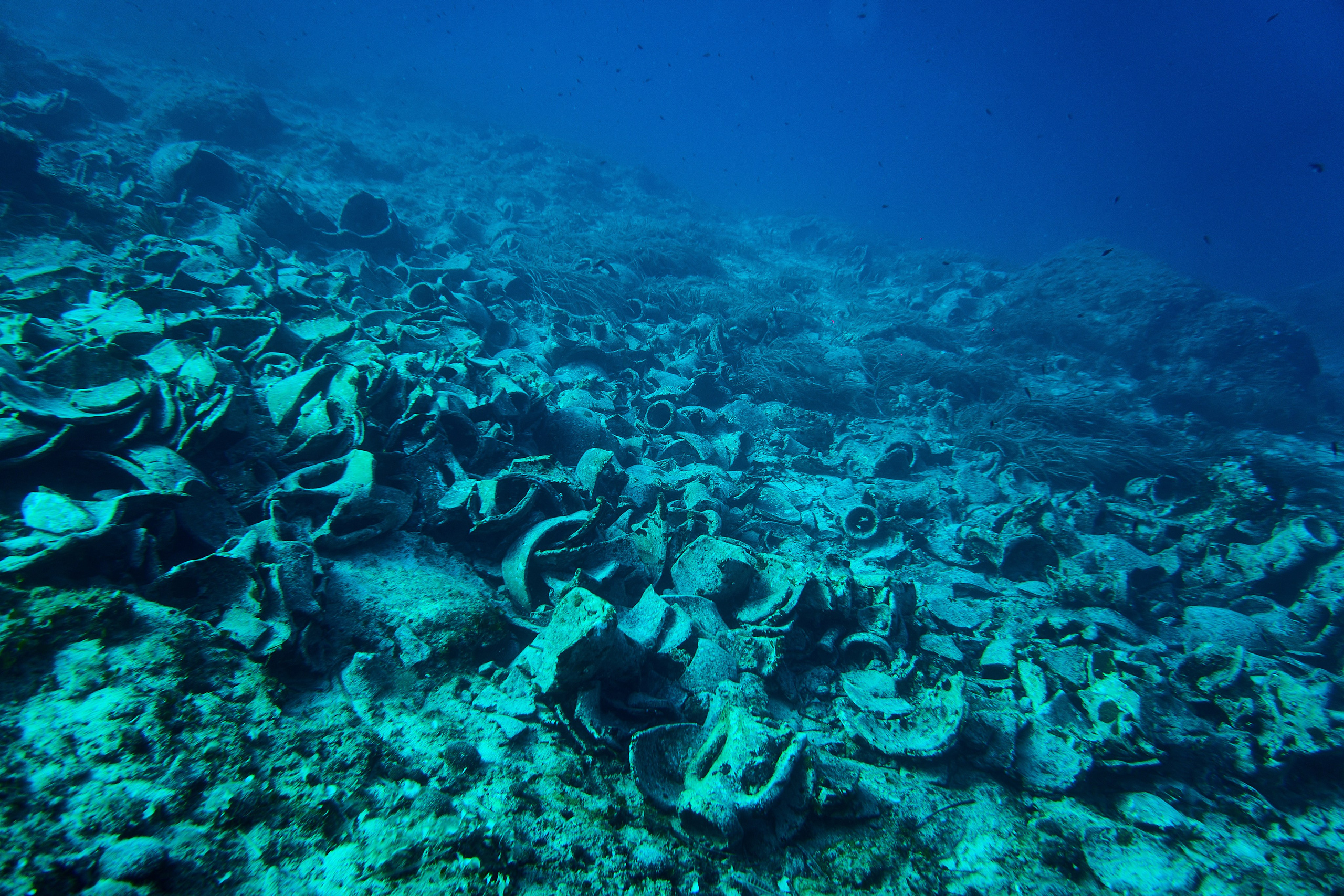 Fotograf podwodny Andriej Szypiłow. Andriej Szypilow - Fotografia & Wideografia