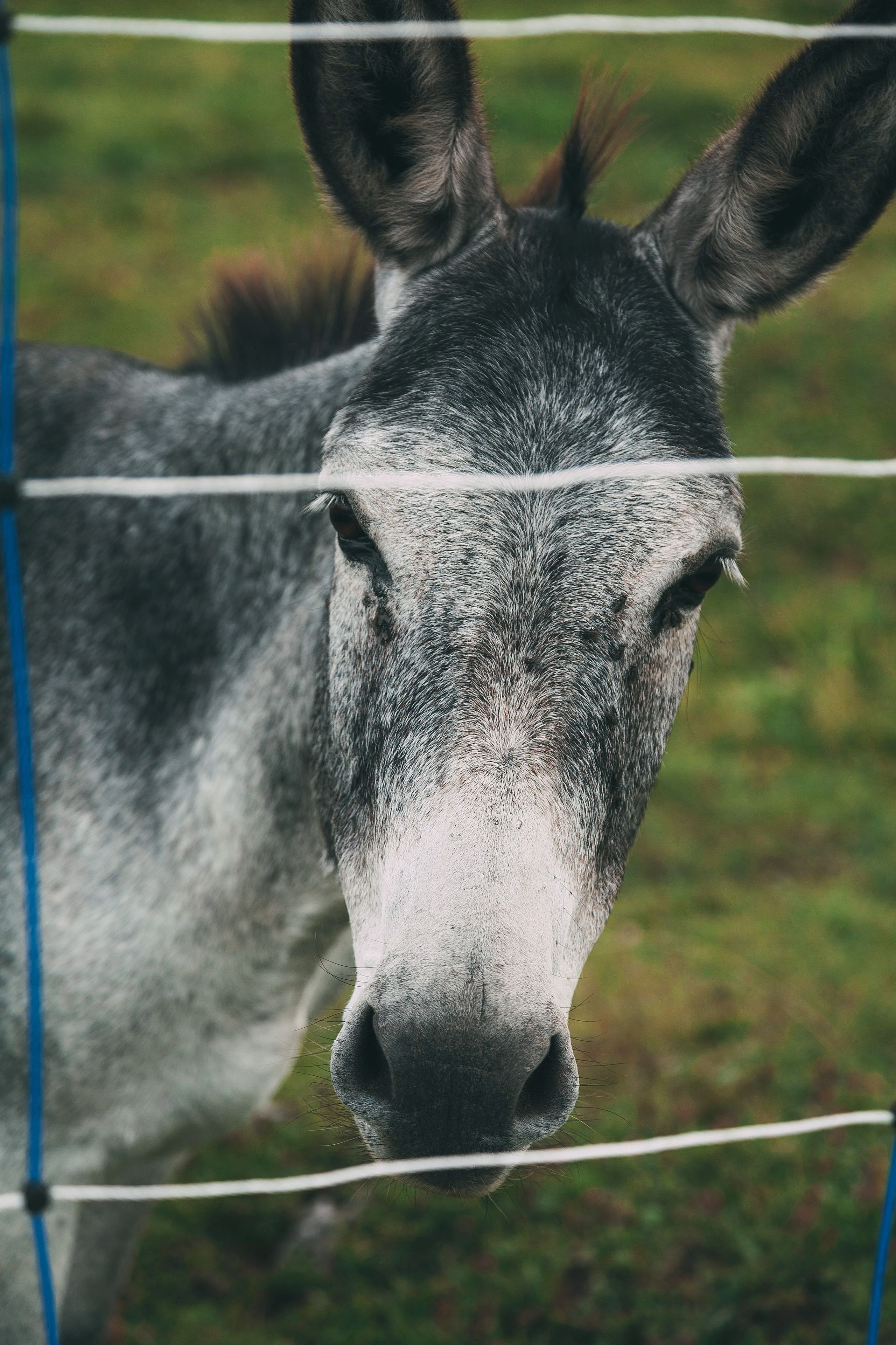Landscapes. Wedding photographer Lyubov Sun Reutlingen