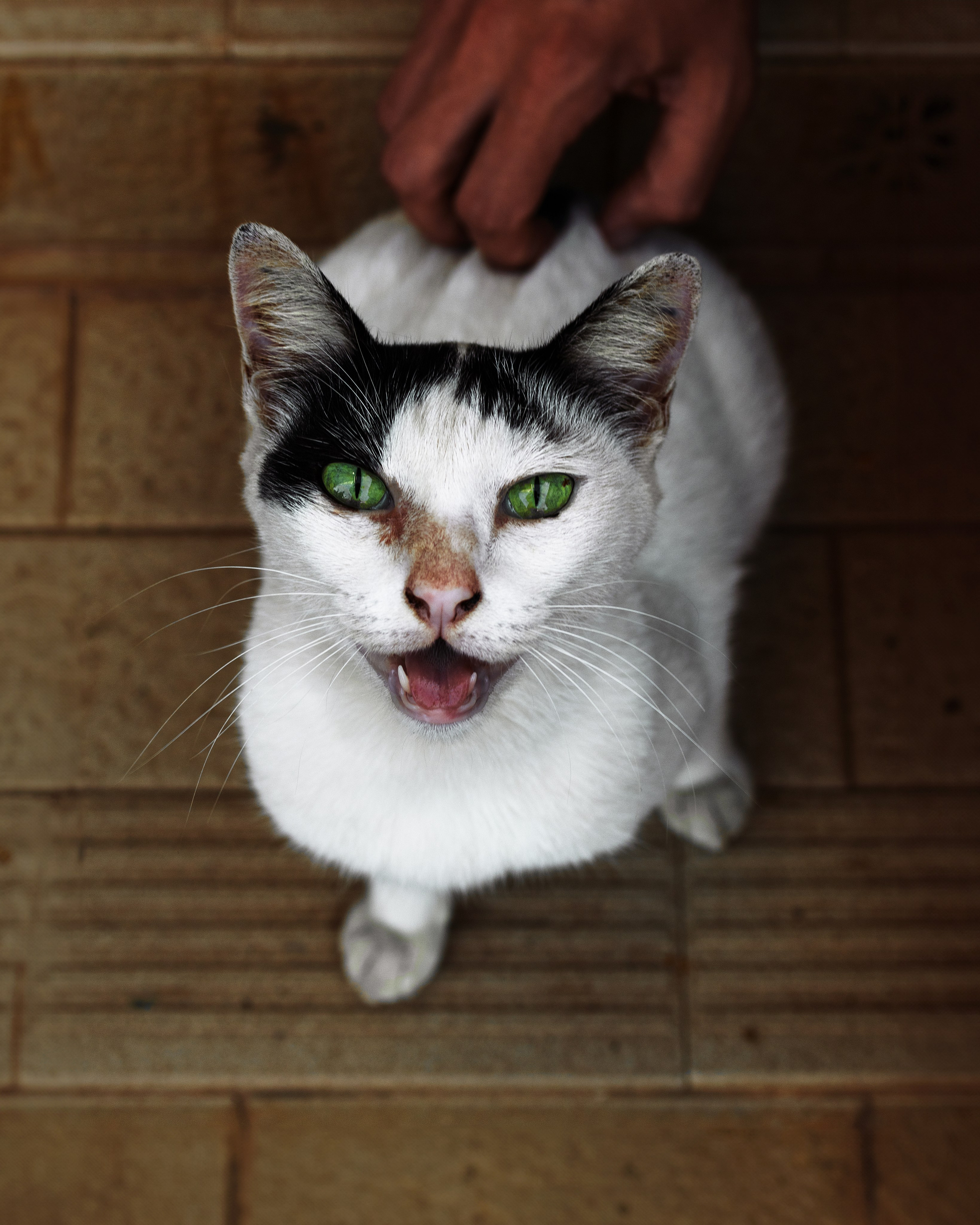 LidiiaFotoLab: Portrait, Event & Hochzeitsfotografin