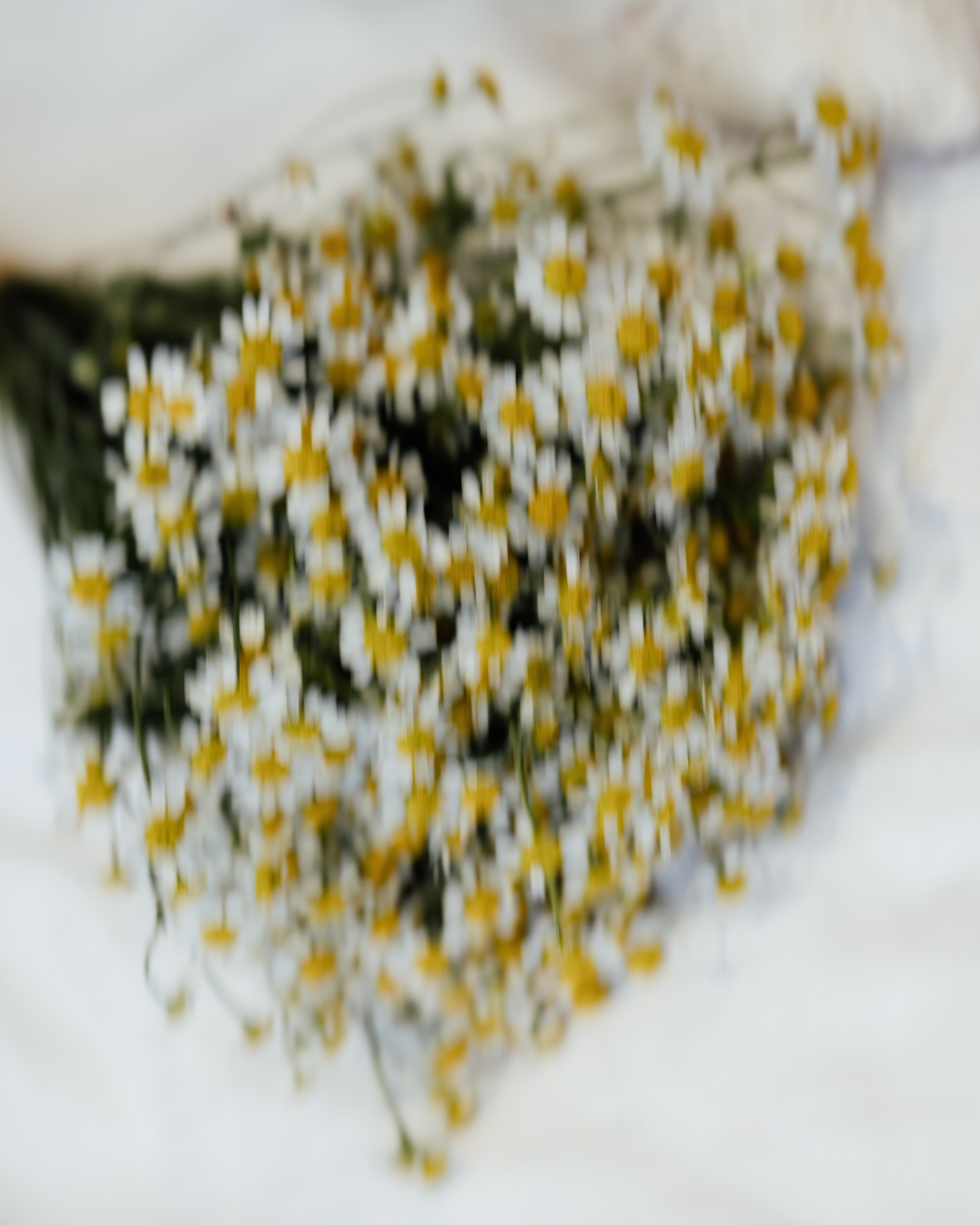 Chelsea Old Town Hall — Poppy & Jordan. Timeless Wedding & Event Photography — based London, working across Europe