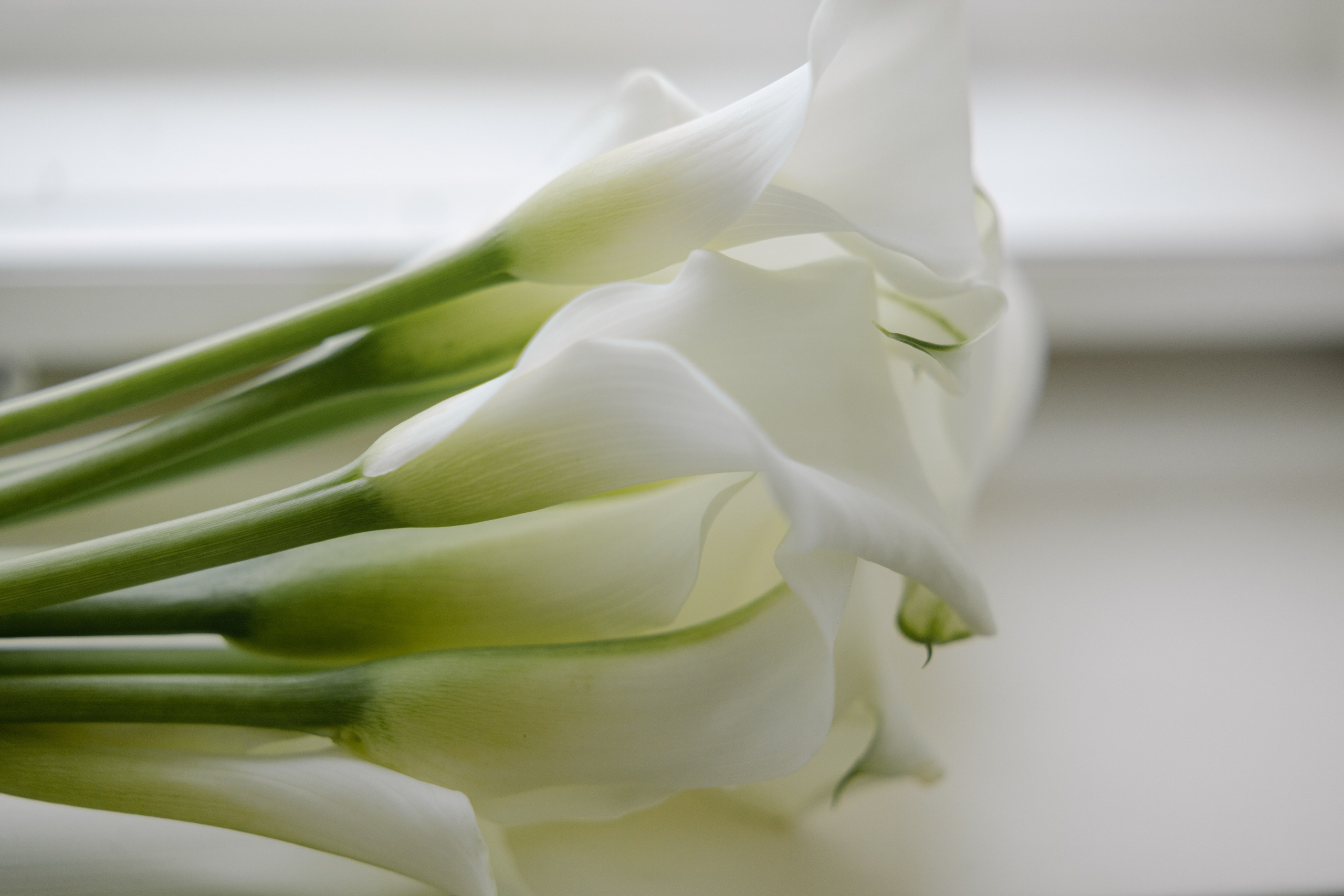 WEDDING PHOTOGRAPHY. Timeless Wedding & Event Photography — based London, working across Europe