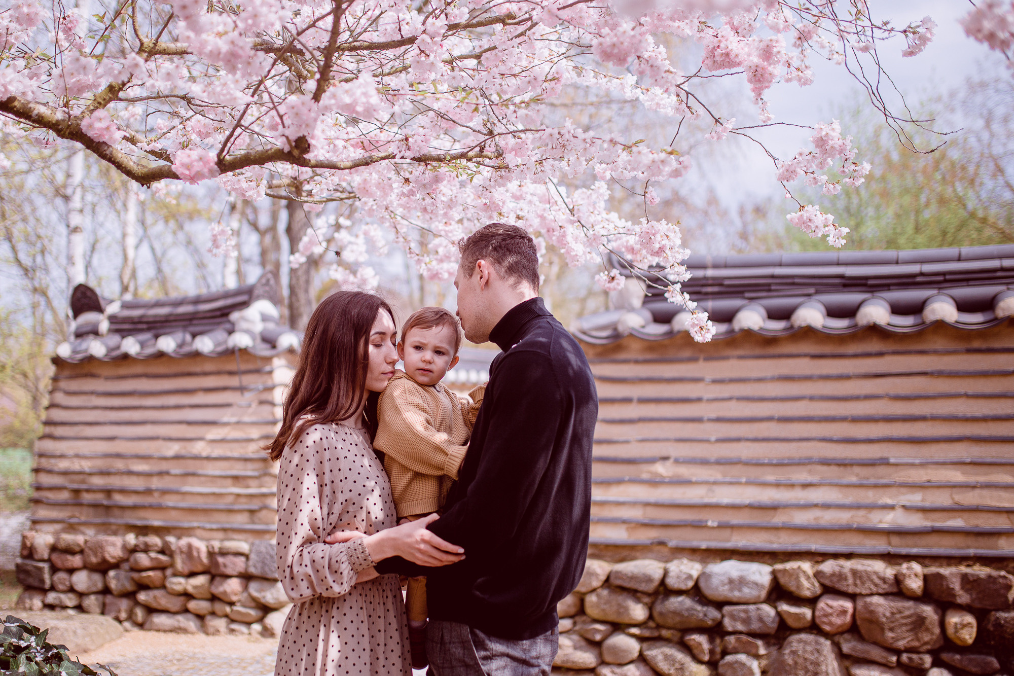 Famiienshooting unter Sakura