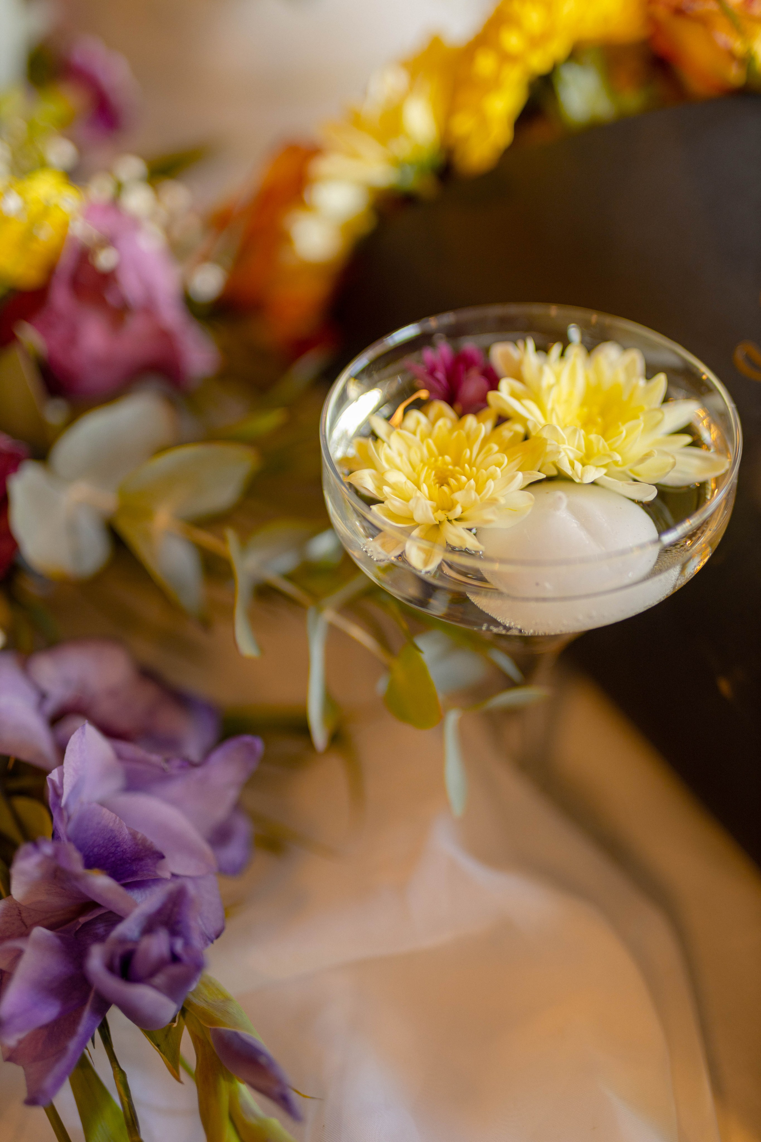 Iva & Maksa. Marko Tucić Photography | Fotograf Zrenjanin