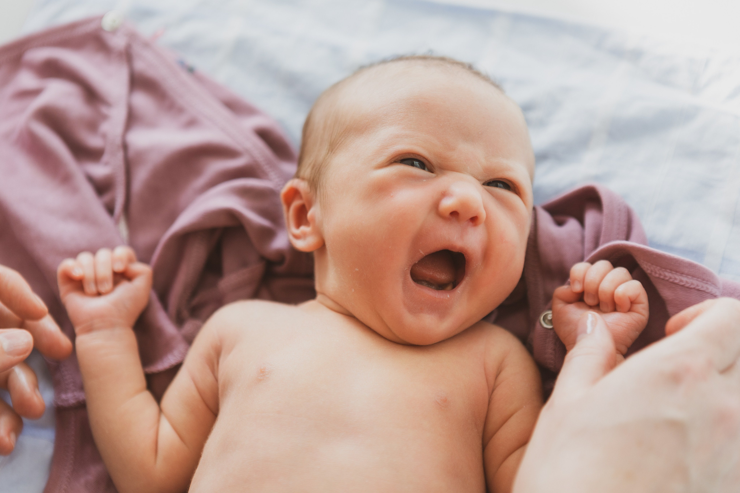 Süße Prinzessin. Adelya Tomin