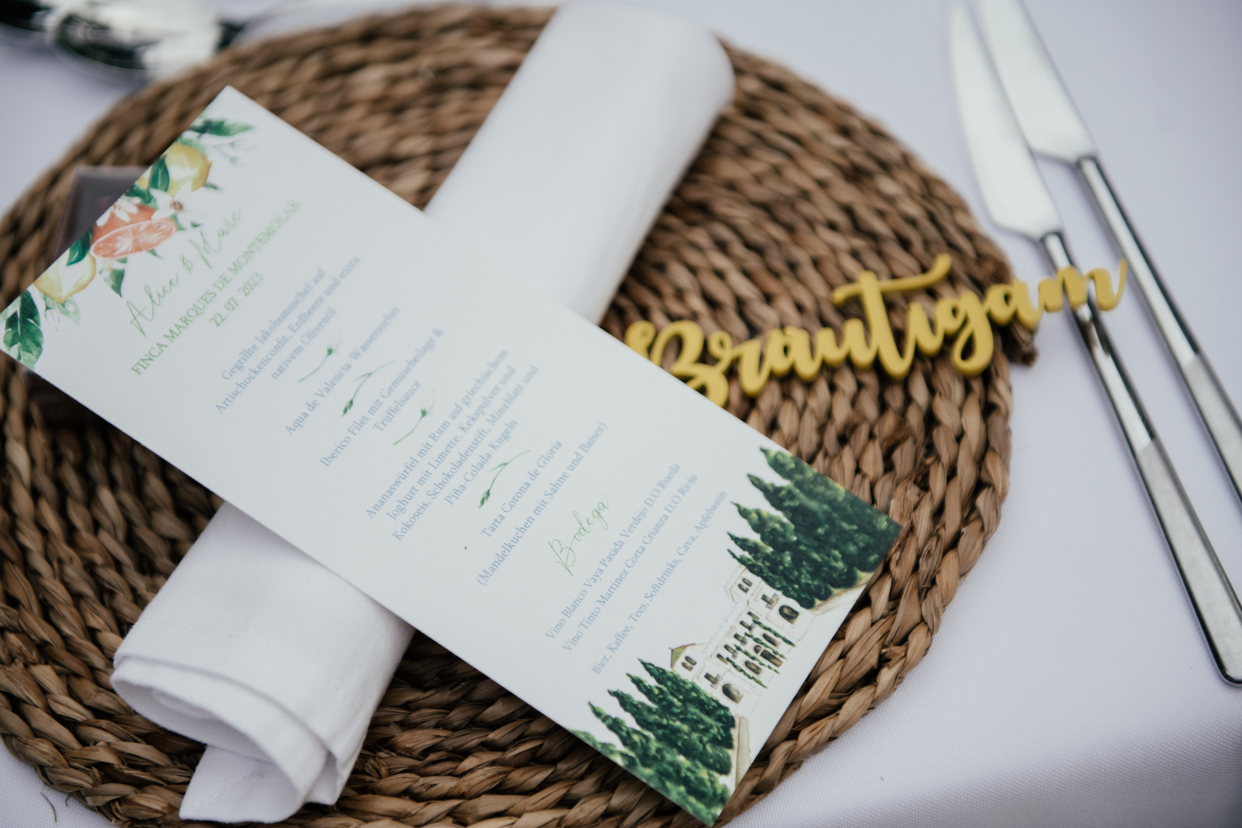 Alicia & Marc (Finca Marques de Montemolar)