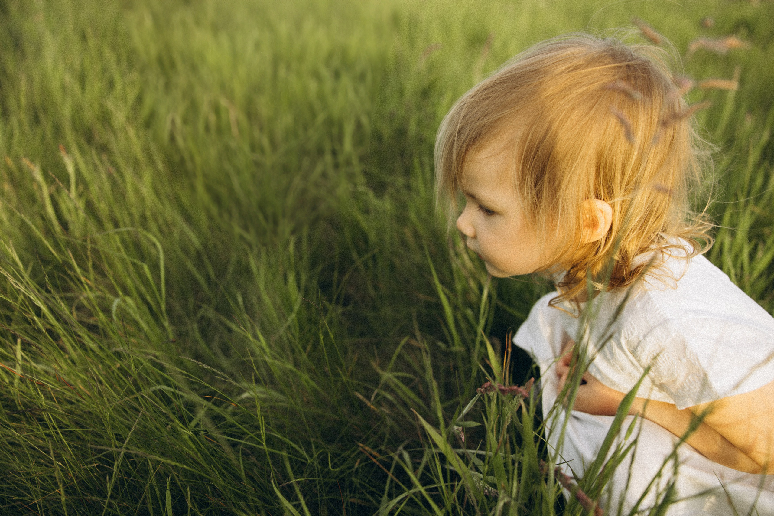 Familienshooting bei Sonnenuntergang. Familien & Hochzeitfotografin Nadja Holzmann