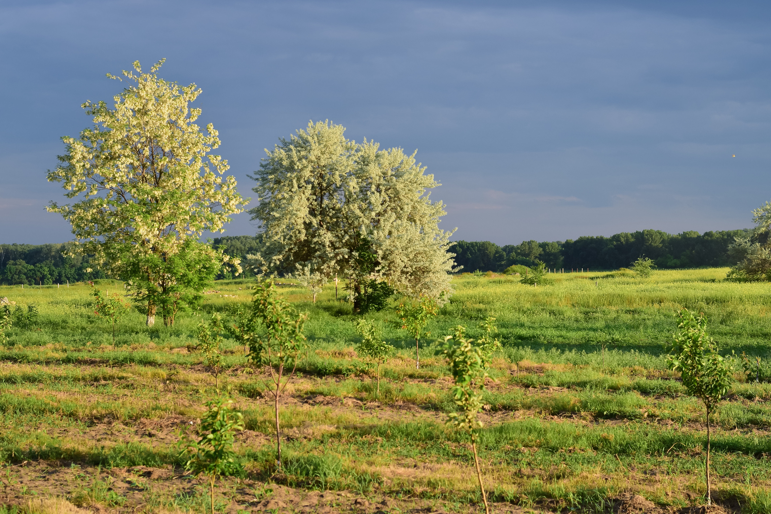 Георгий, Валентина и Богдан. Семейный и детский фотограф/ репортаж в ПМР Наталия Филимонова