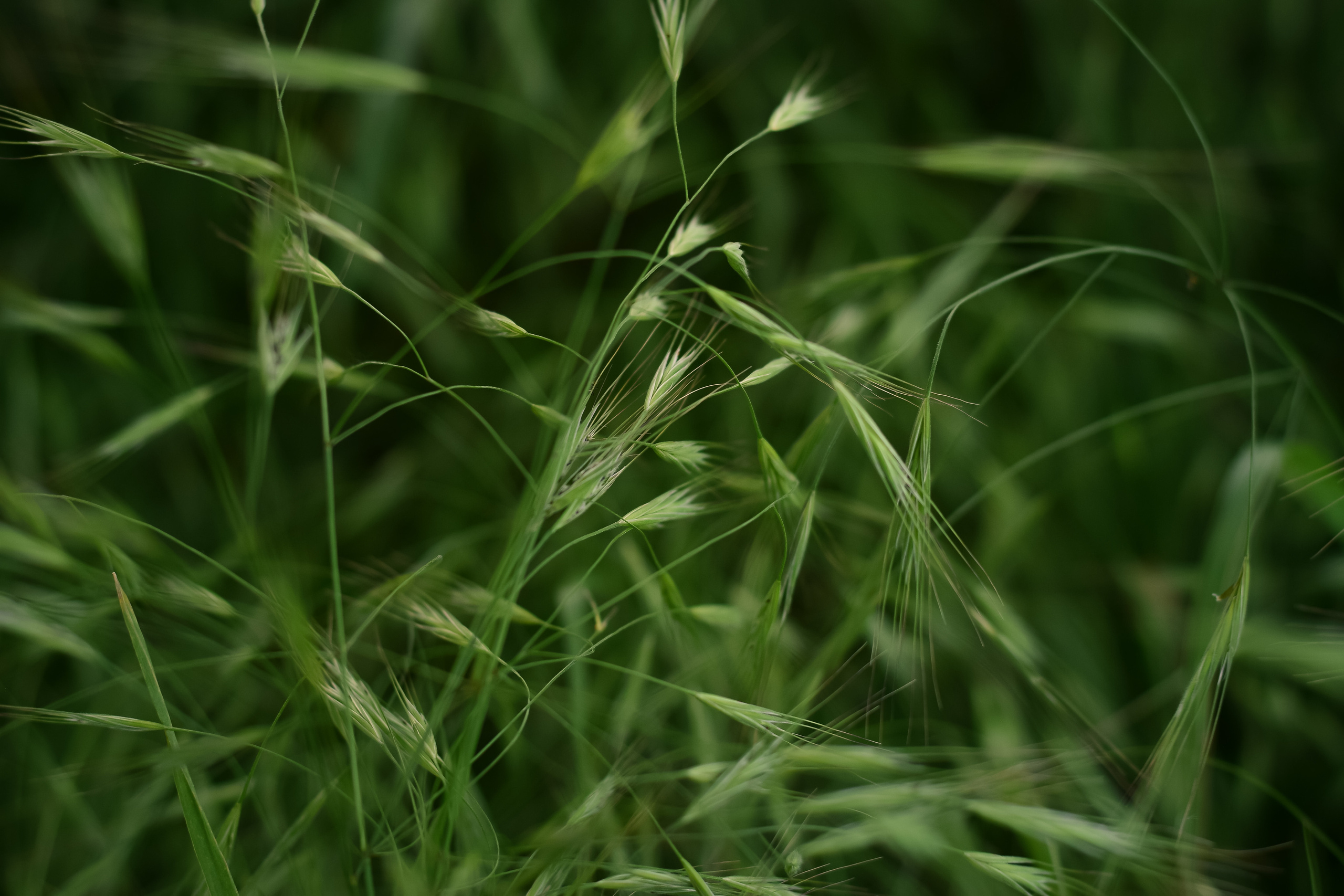 Георгий, Валентина и Богдан. Семейный и детский фотограф/ репортаж в ПМР Наталия Филимонова