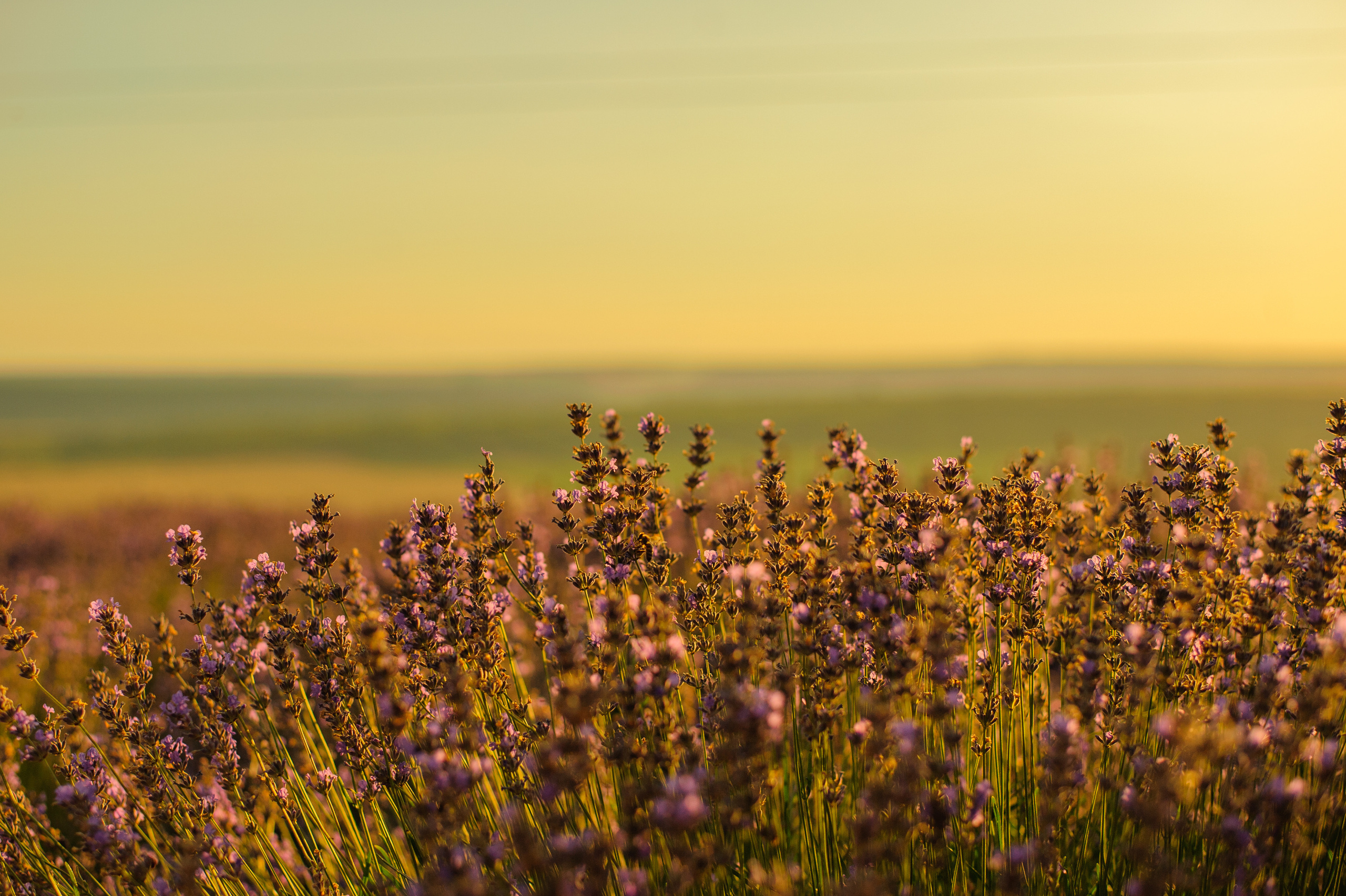 Евгения и Александр и Ко. Семейный и детский фотограф/ репортаж в ПМР Наталия Филимонова