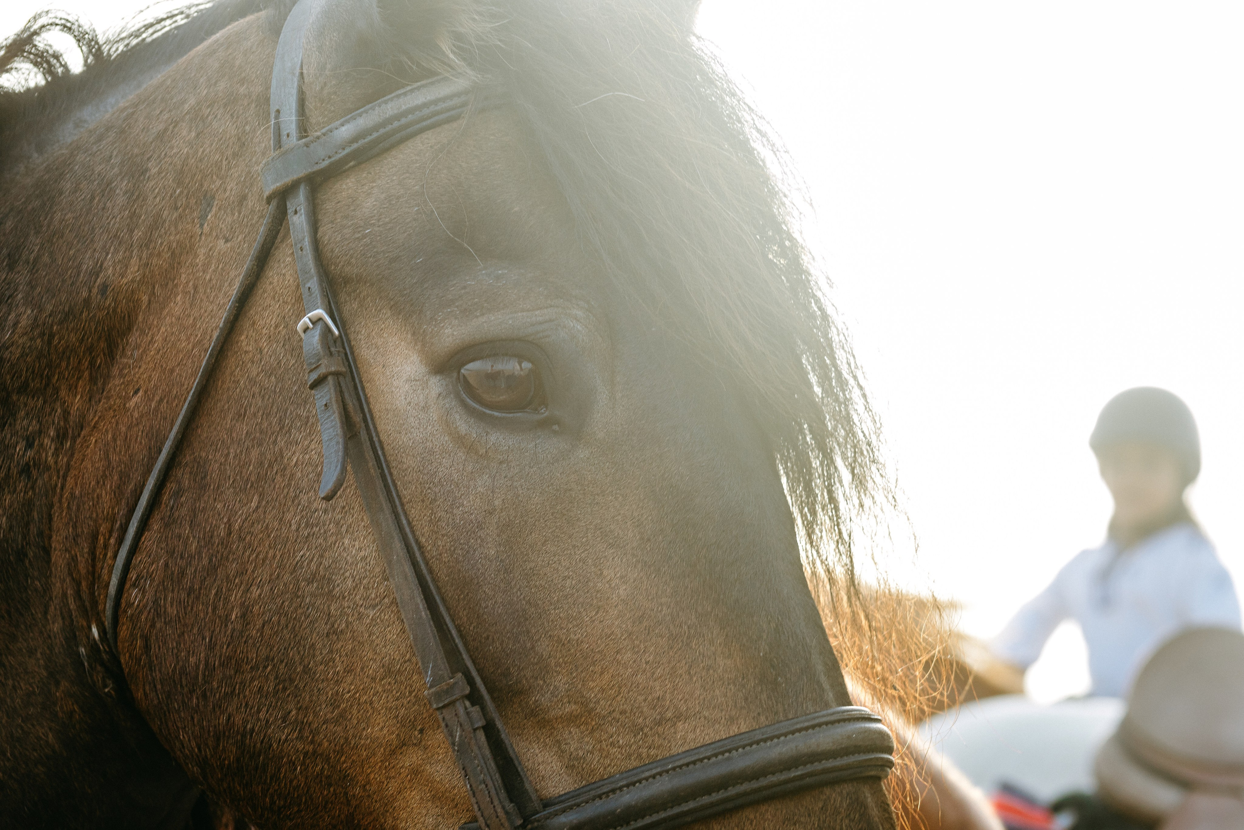 Marlene & Tiago com filhos. Passeios a Cavalo na Praia Peniche | Eco Salgados Agroturismo