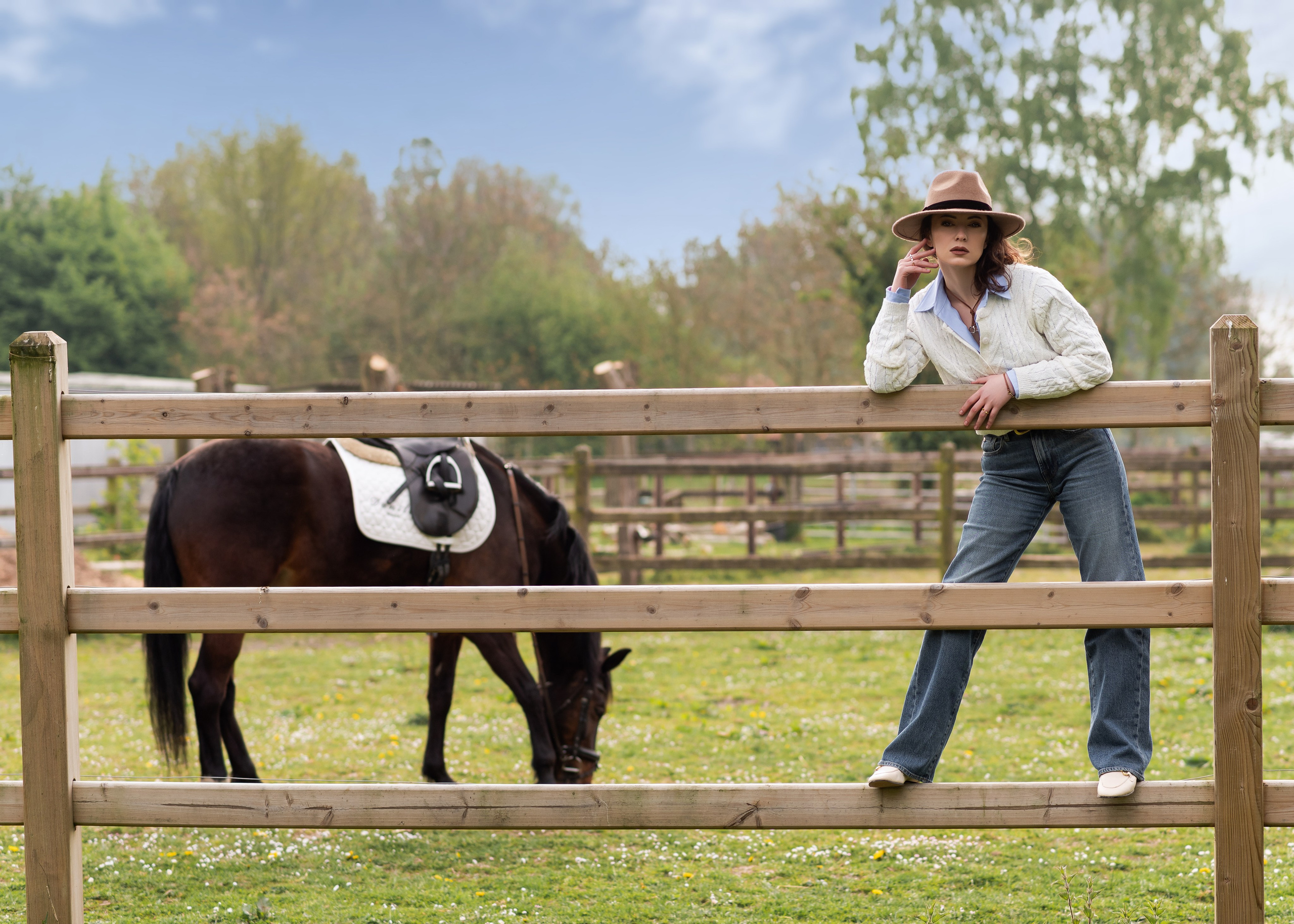 Photoshoot with Horses. Professional Photograher, Antwerpen/Belgium
