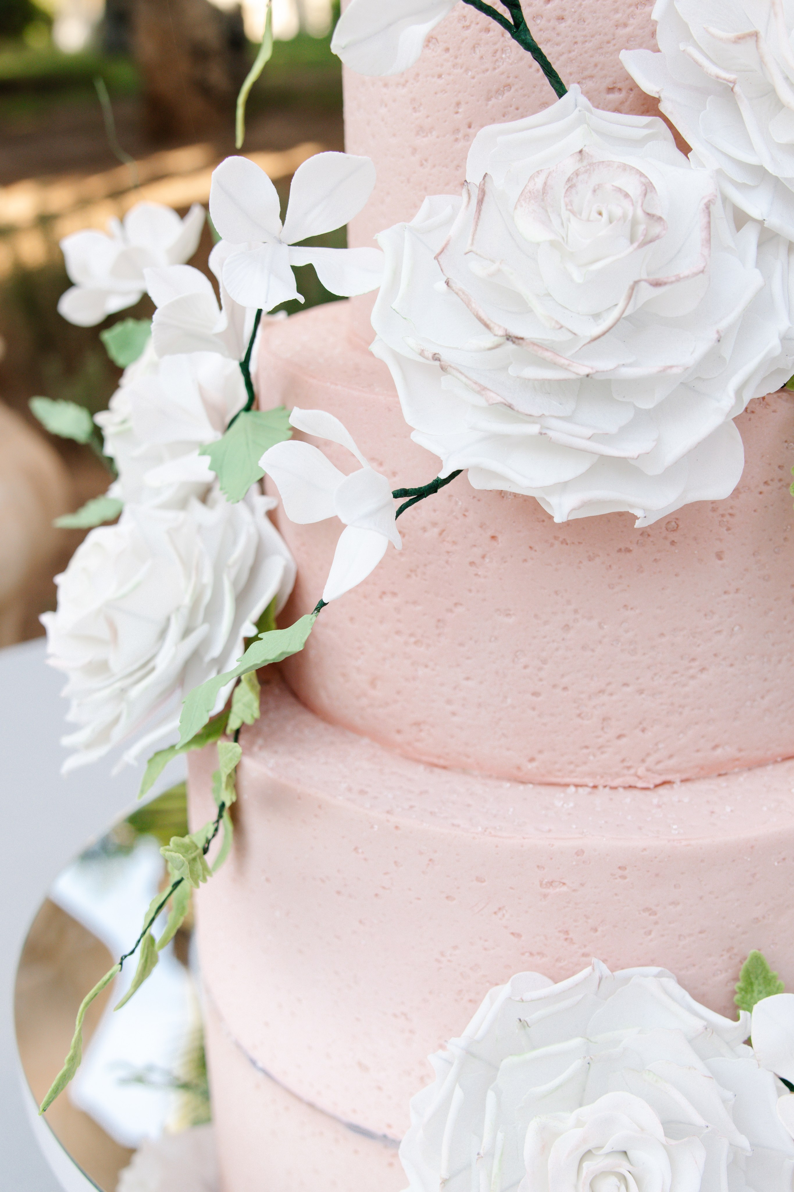 L&a. Wedding photography and videography in Regina, Saskatchewan