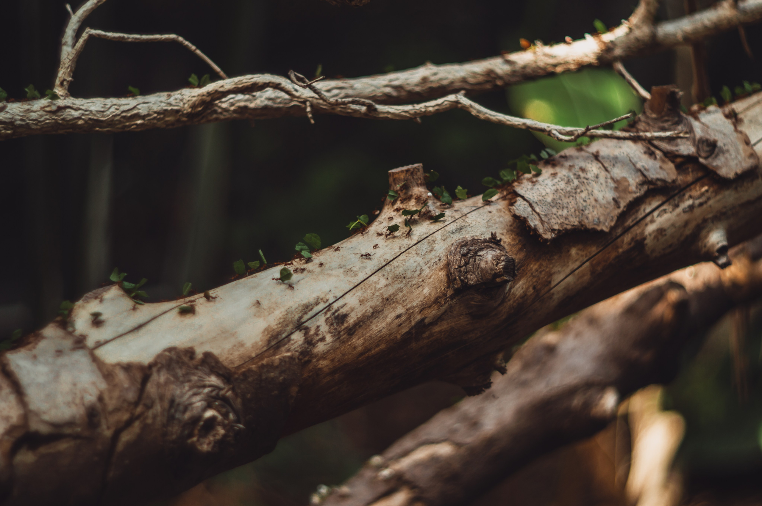 Франция. Анастасия Благова — Твой фотограф в Малаге 🇪🇸