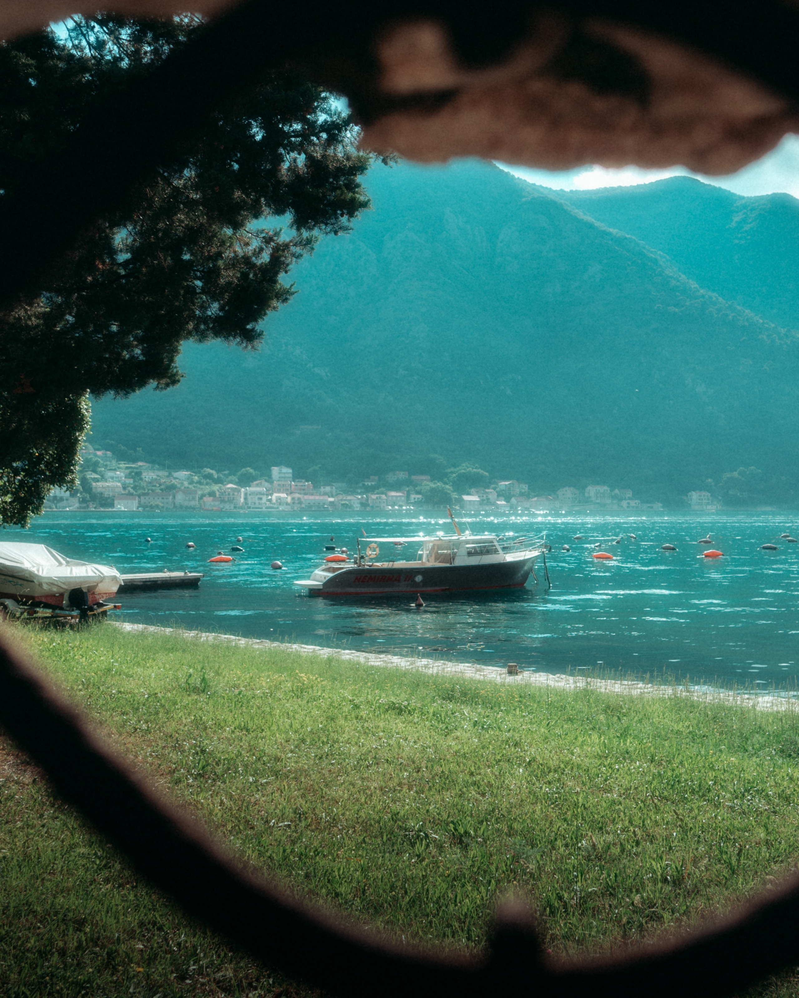 Roaming. Mike Avelli