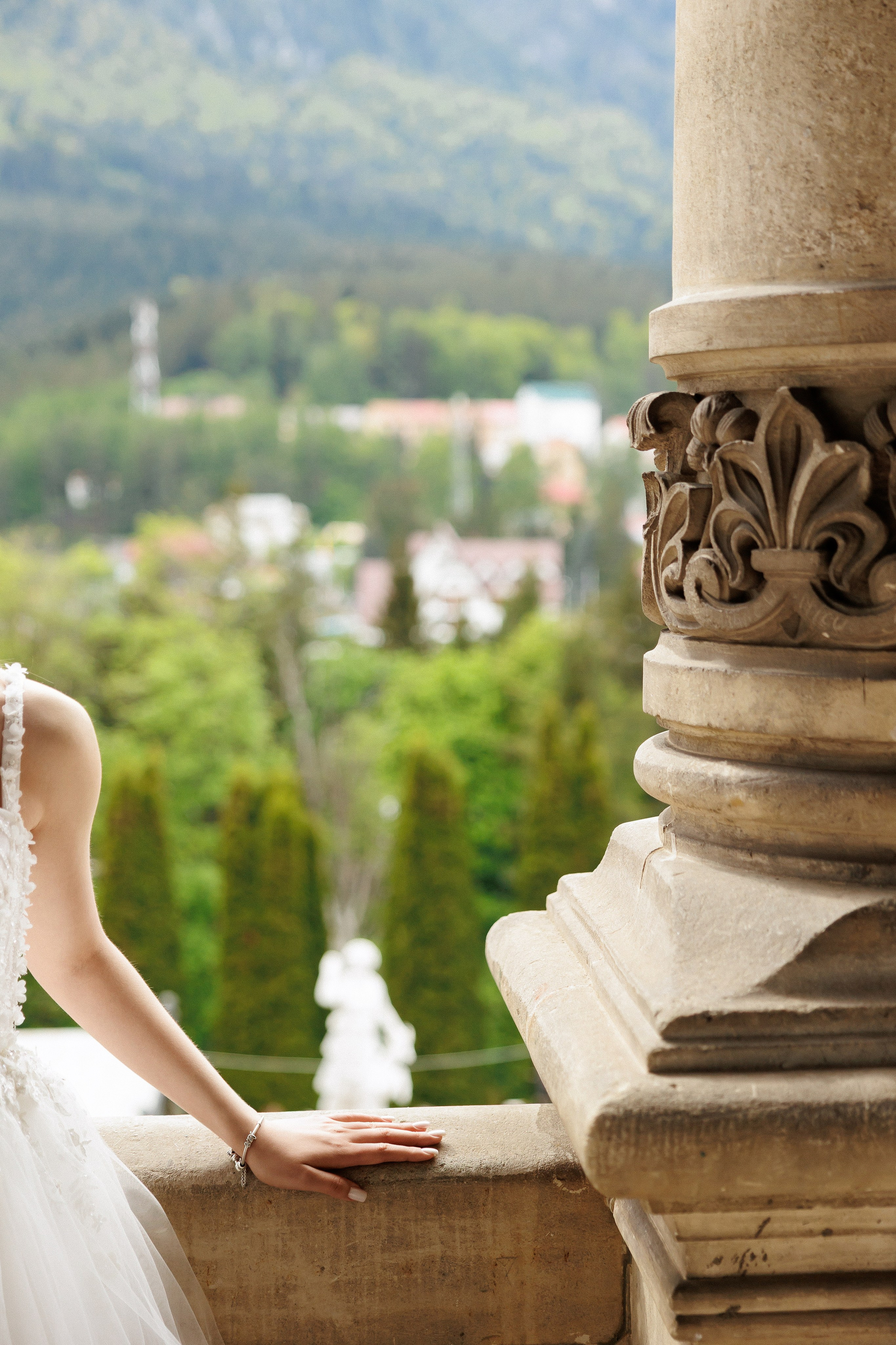 Ion & Djulieta — Richland — Wedding Day. Servicii Foto și Video 067188353