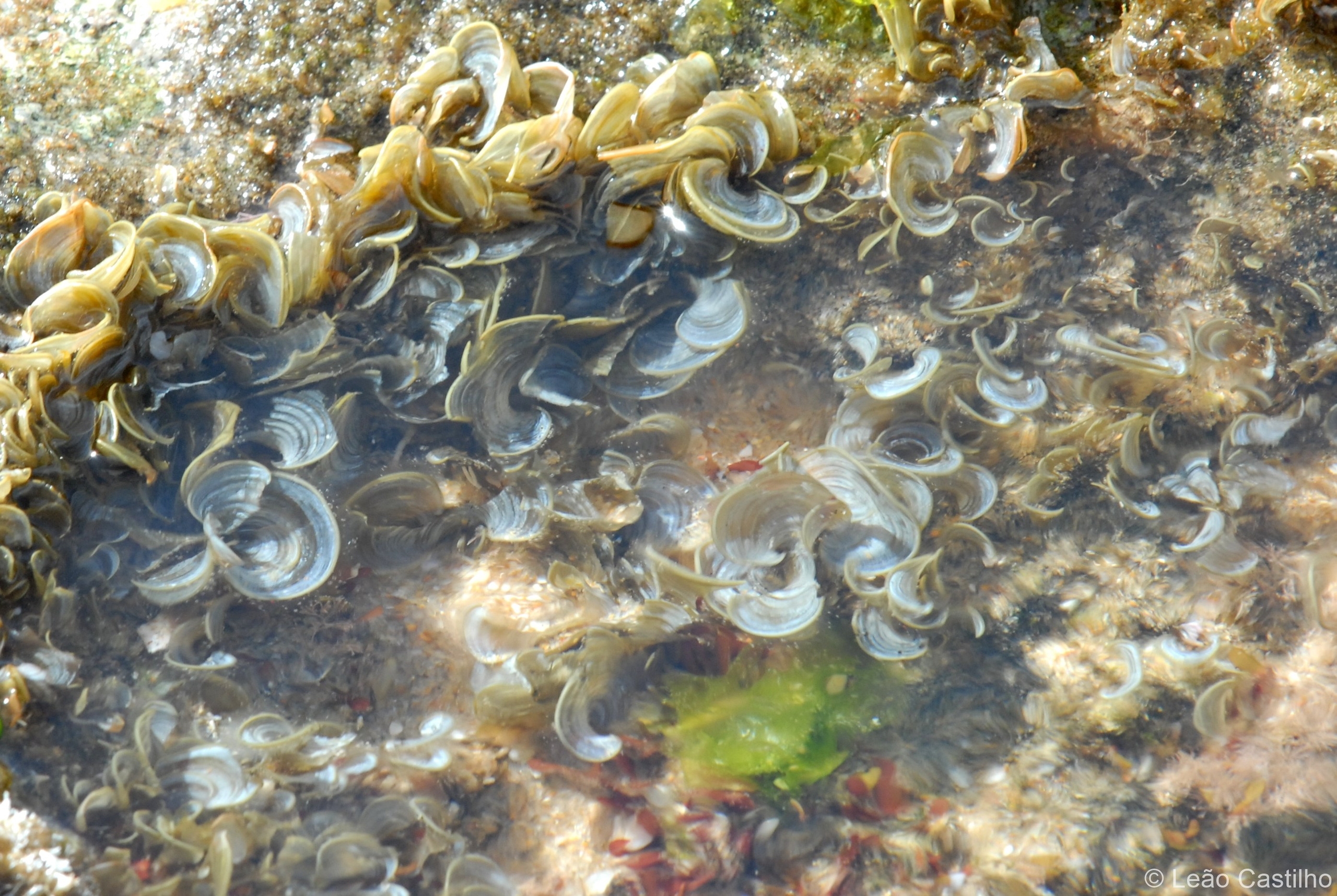 Photos from Mozambique. Simbahalu