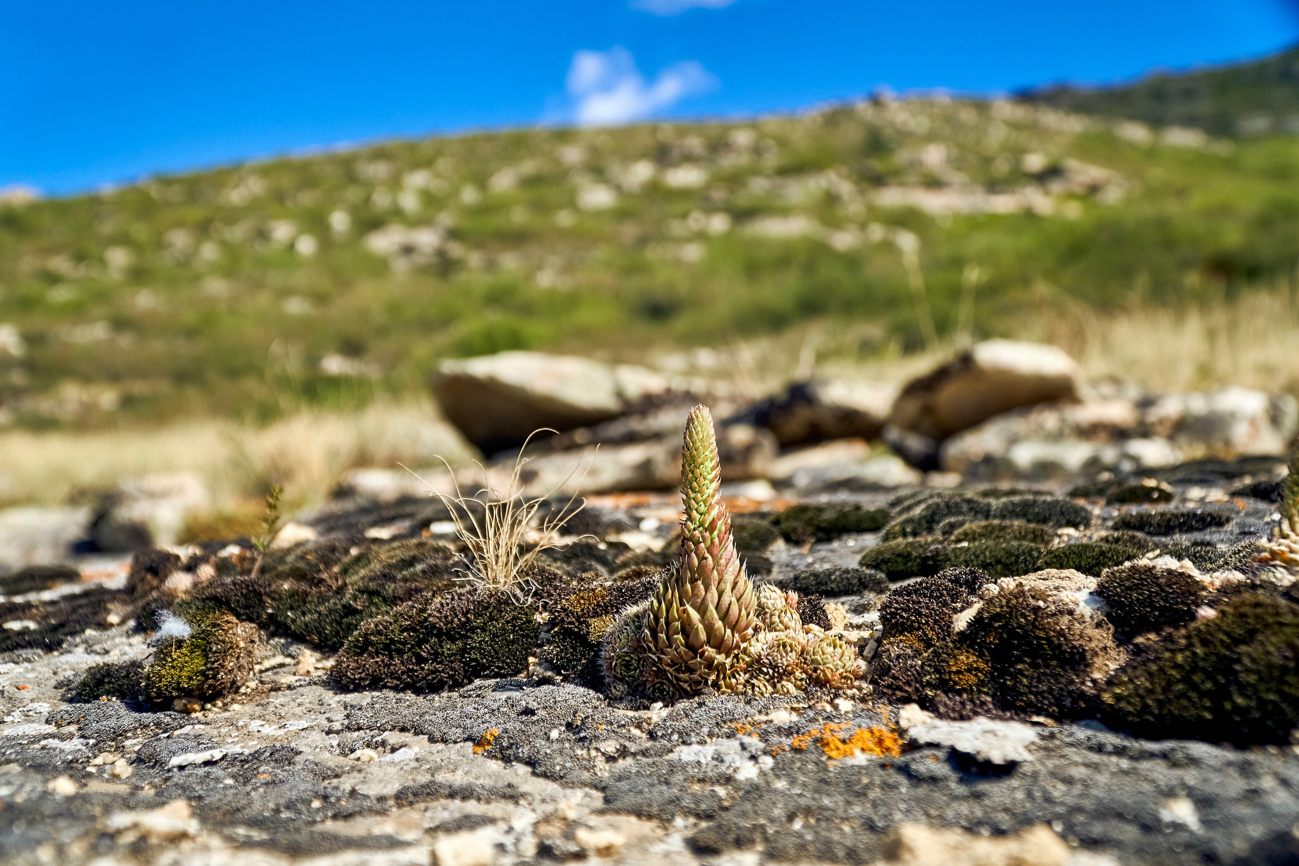 Монастыри. Андрей Шипилов — Фотография & Видеография
