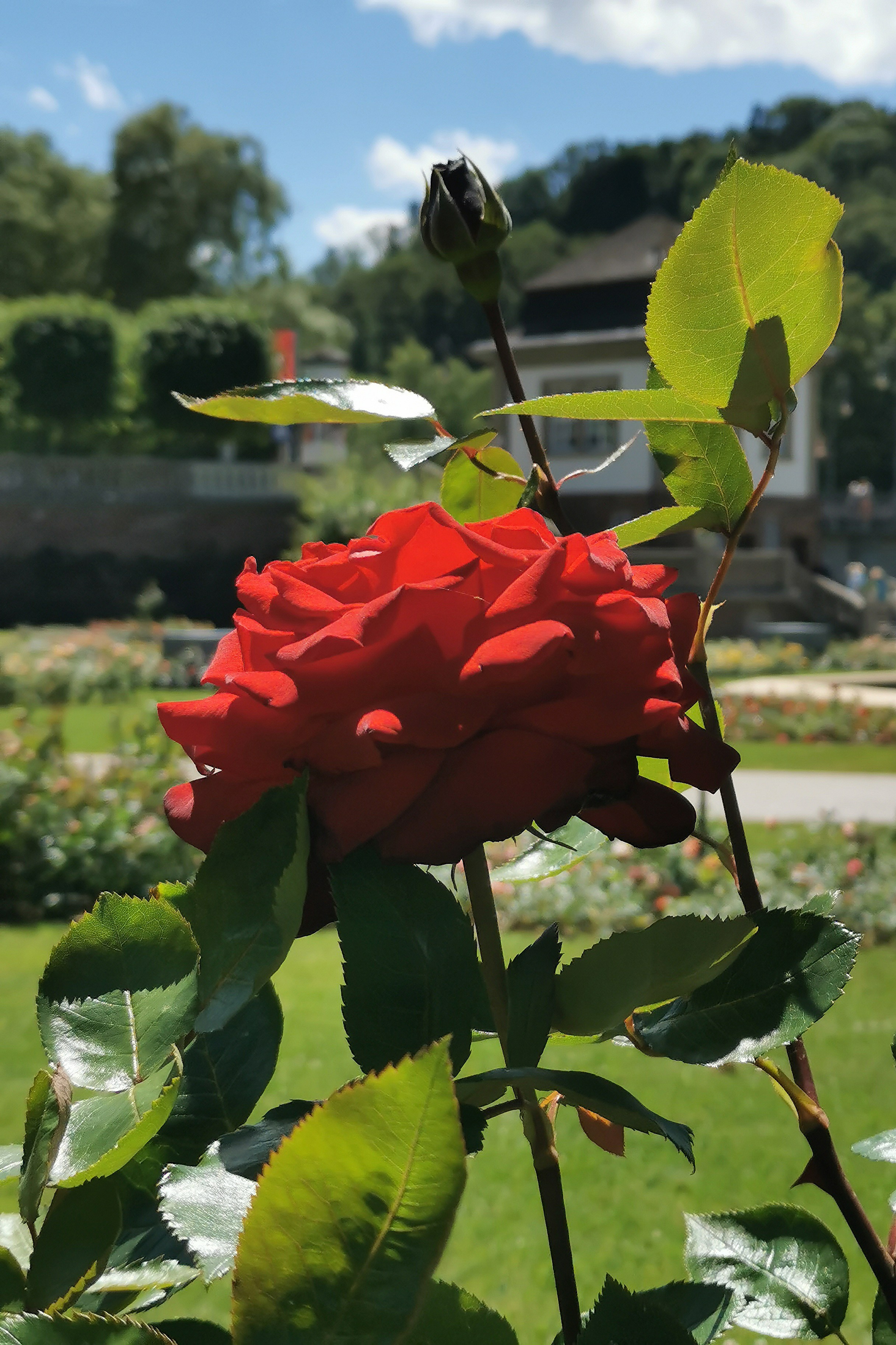 Бад Киссинген. Elina Reisen. Туристическое агентство в Аугсбурге