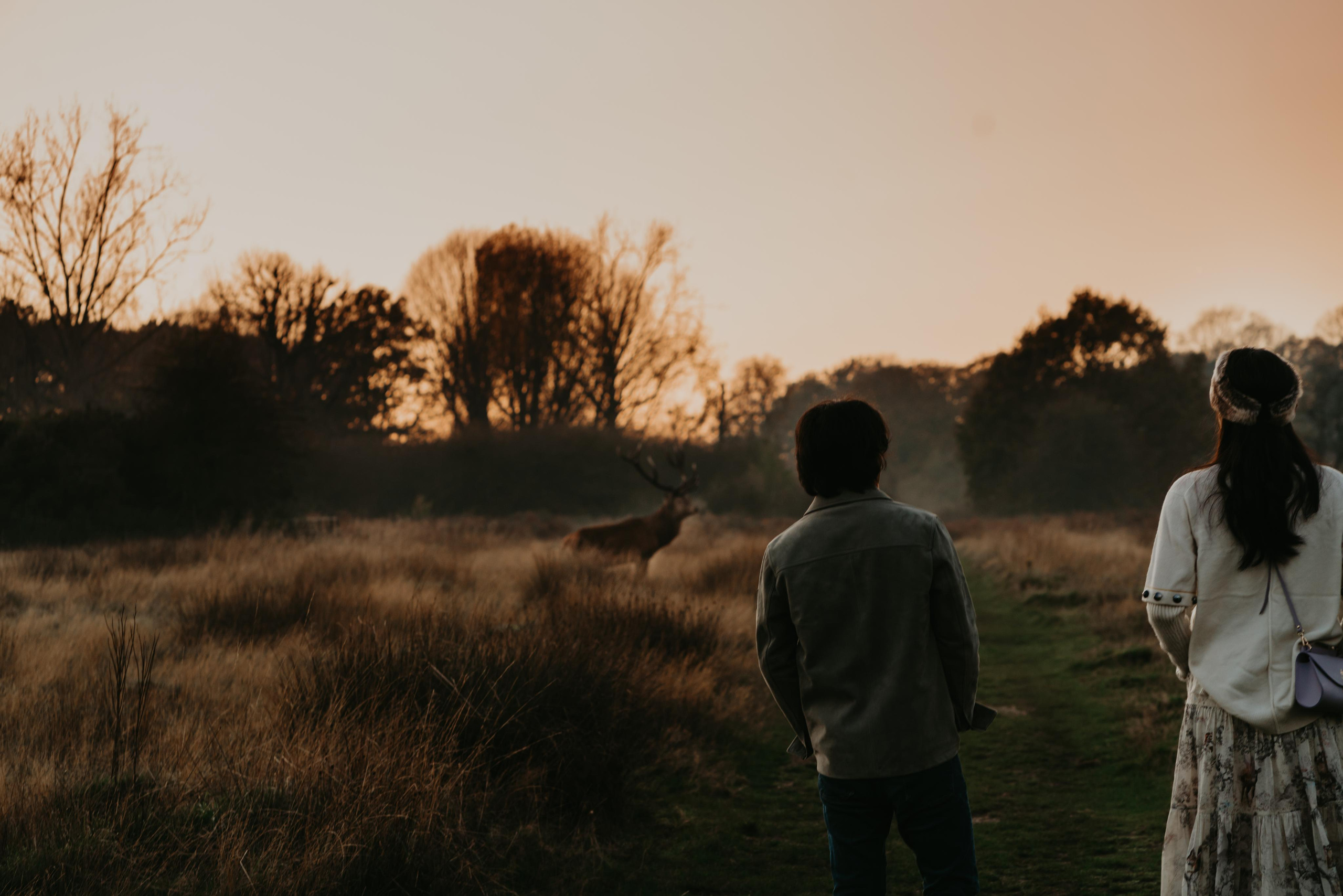 Engagement session in Richmond Park. London portrait and family photographer