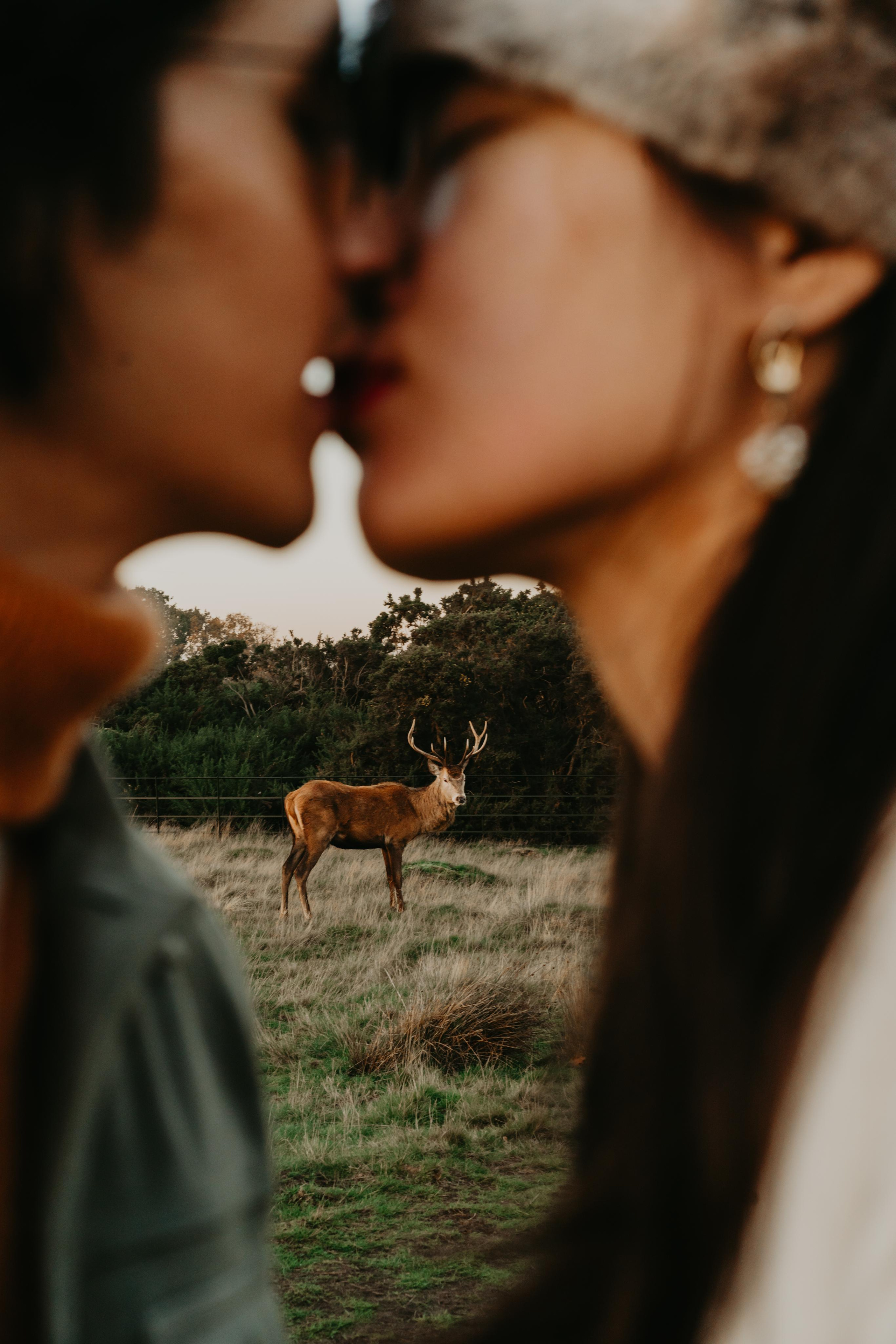 Engagement session in Richmond Park. London portrait and family photographer
