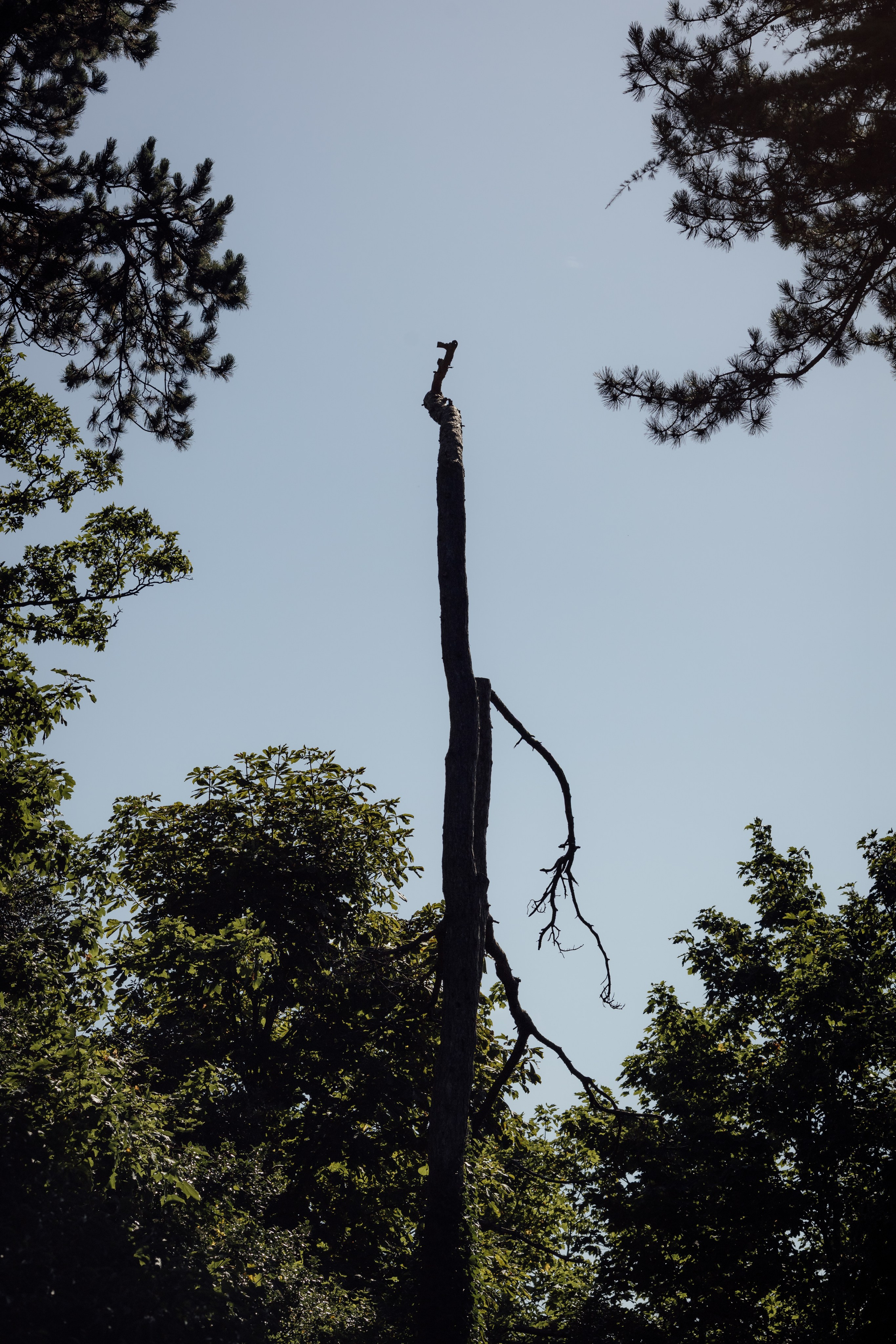 Chloe & Andre -The Manor Elstree, Hertfordshire. Timeless Wedding & Event Photography — based London, working across Europe