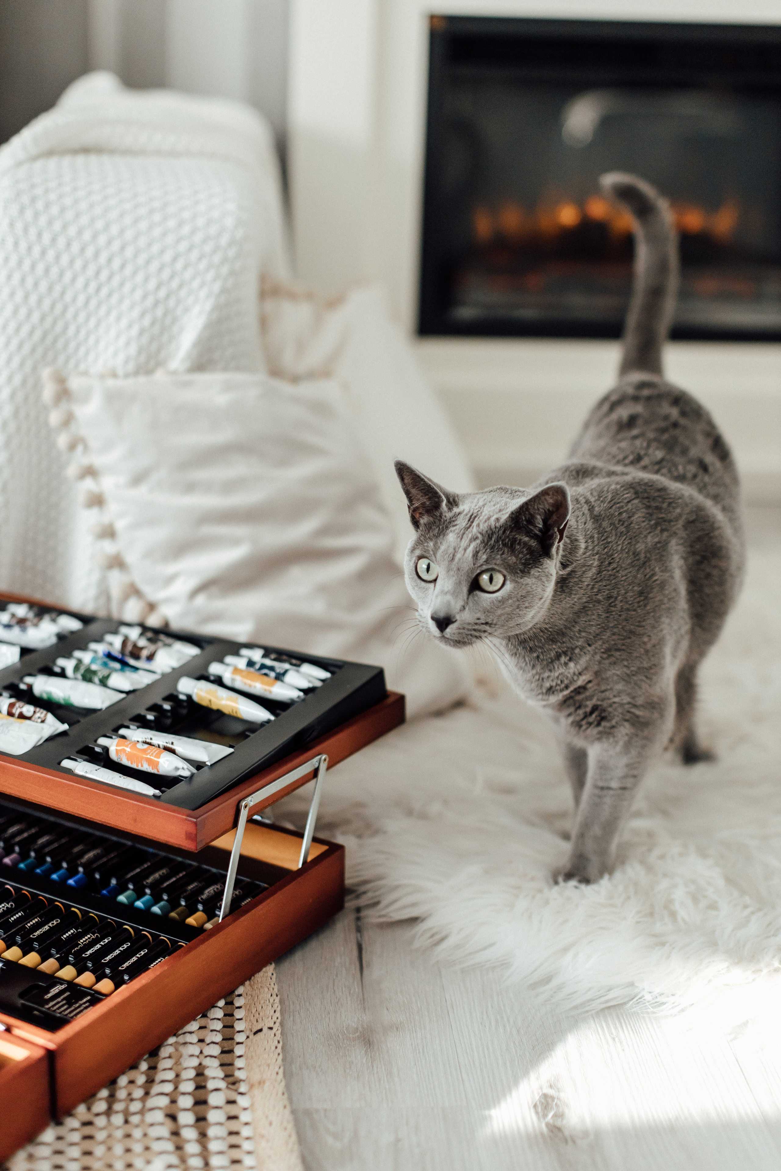 Фотосессия для иллюстратора Кати. Фотограф в Германии — Мария Чистякова