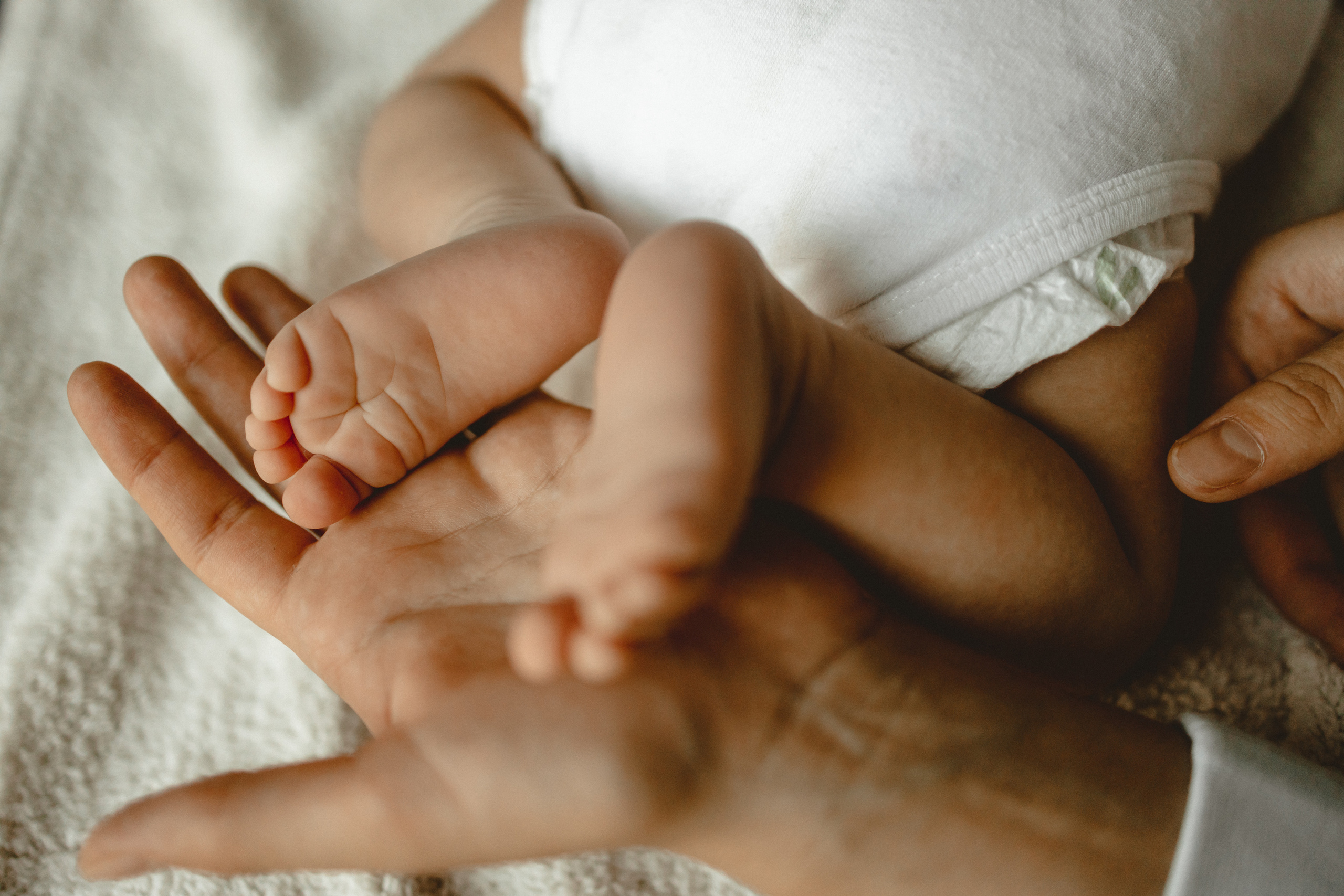 Kleiner David. Maria Chistyakovа — Fotografin in Karlsruhe, Baden-Baden und Umgebung