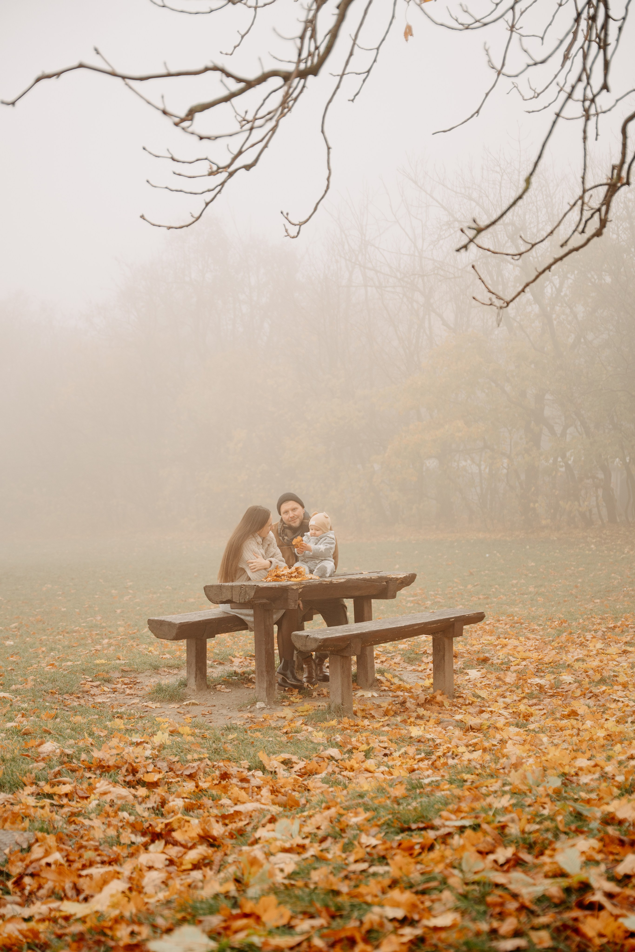 Bendegúz a ködös Normafán. Kezdőlap